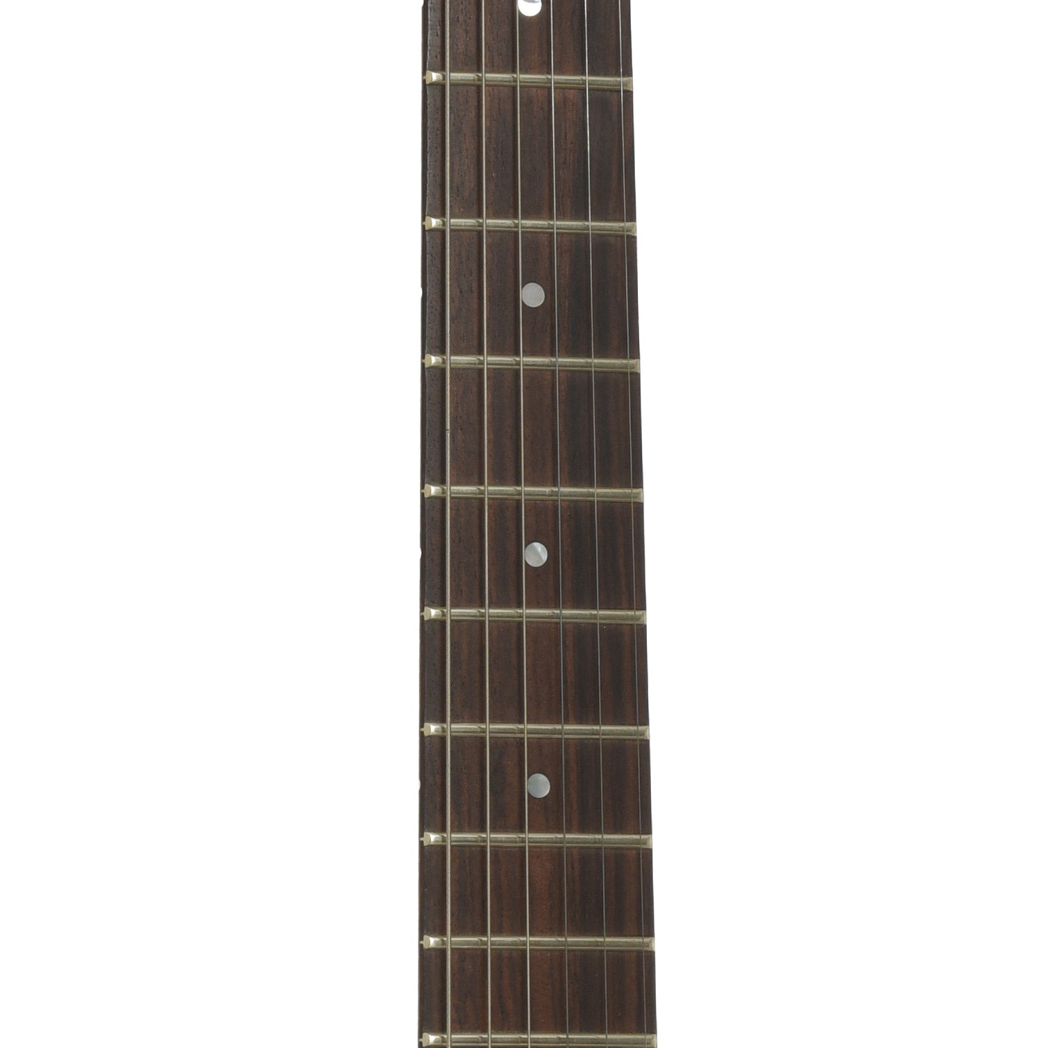 Fretboard of Jerry Jones Electric Sitar   
