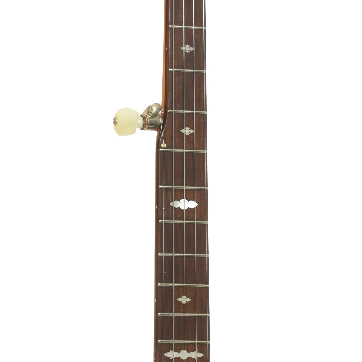 Fretboard of Gretsch G9451 Dixie Deluxe Openback Banjo