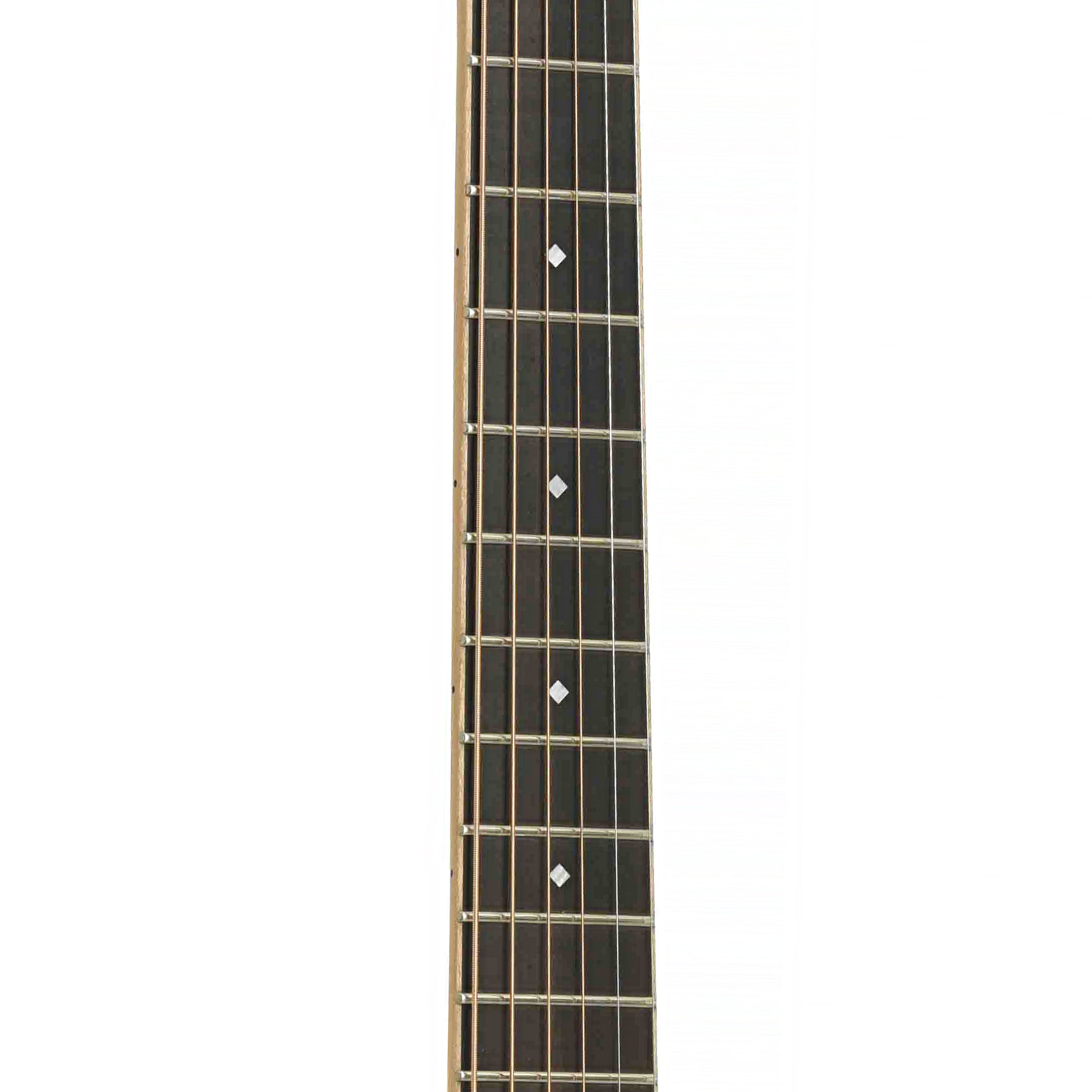 Fretboard of Larrivee T-40R
