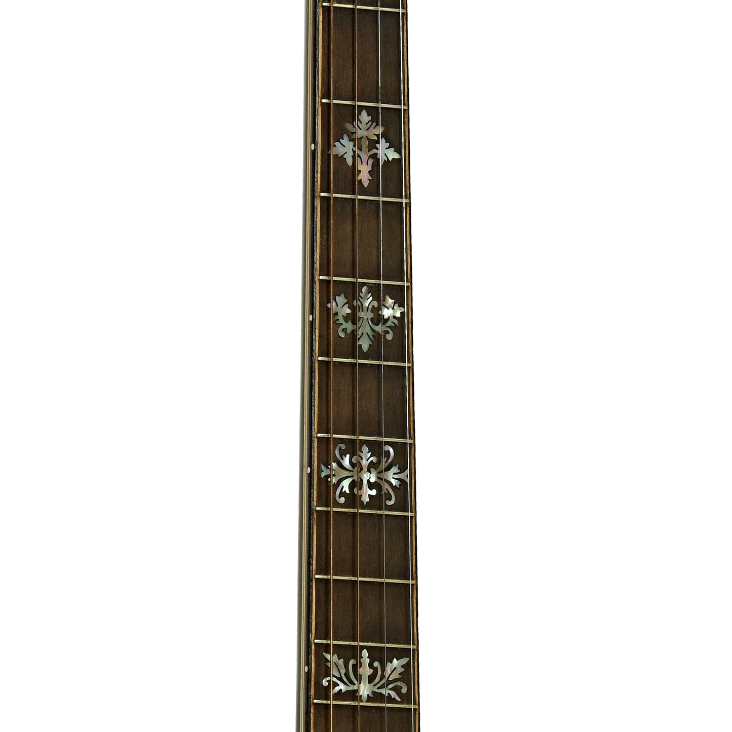 Fretboard of Orpheum No.3 Tenor Banjo 