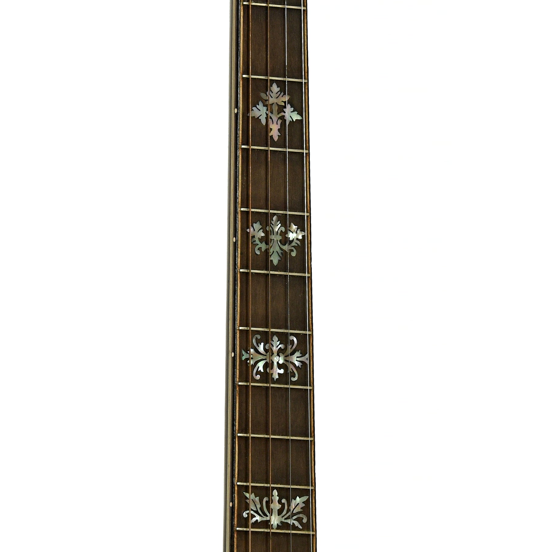 Fretboard of Orpheum No.3 Tenor Banjo 