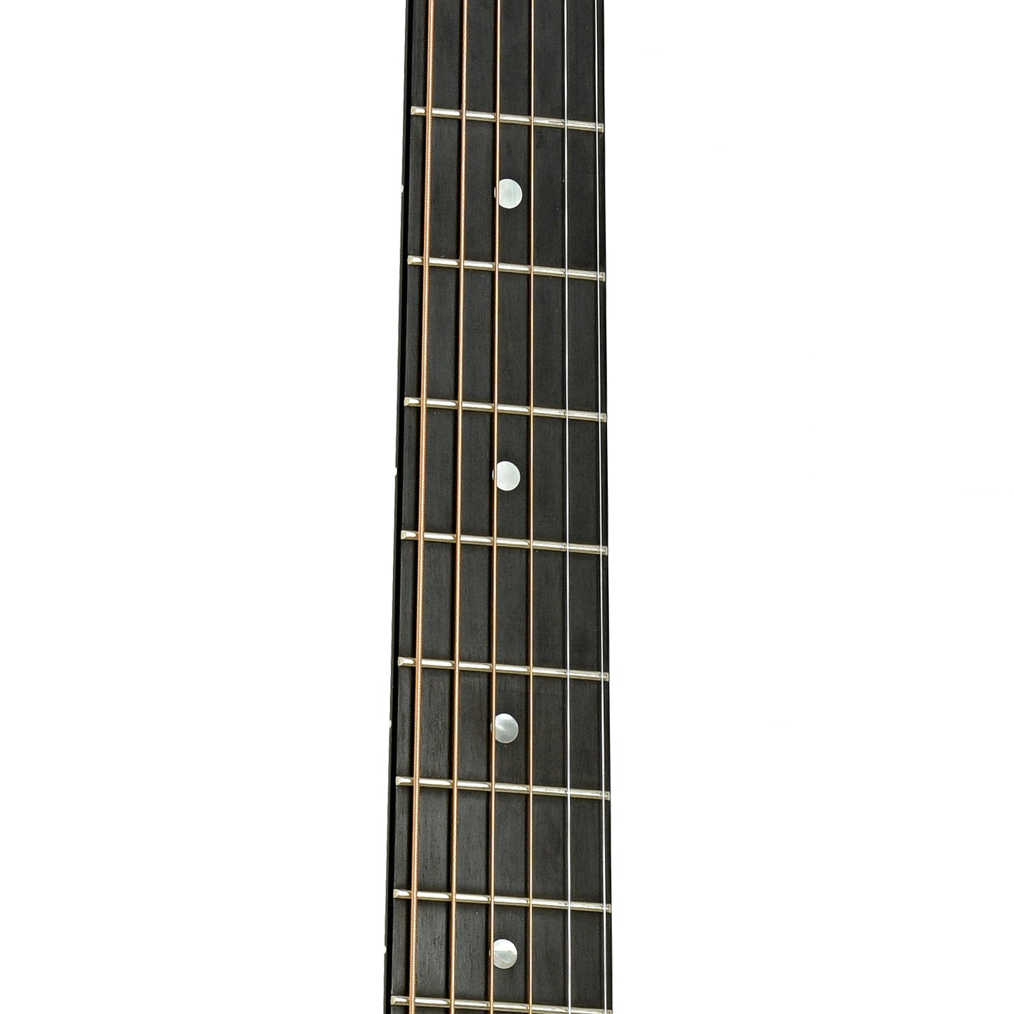 Fretboard of Taylor 310-CE Acoustic-Electric Guitar 