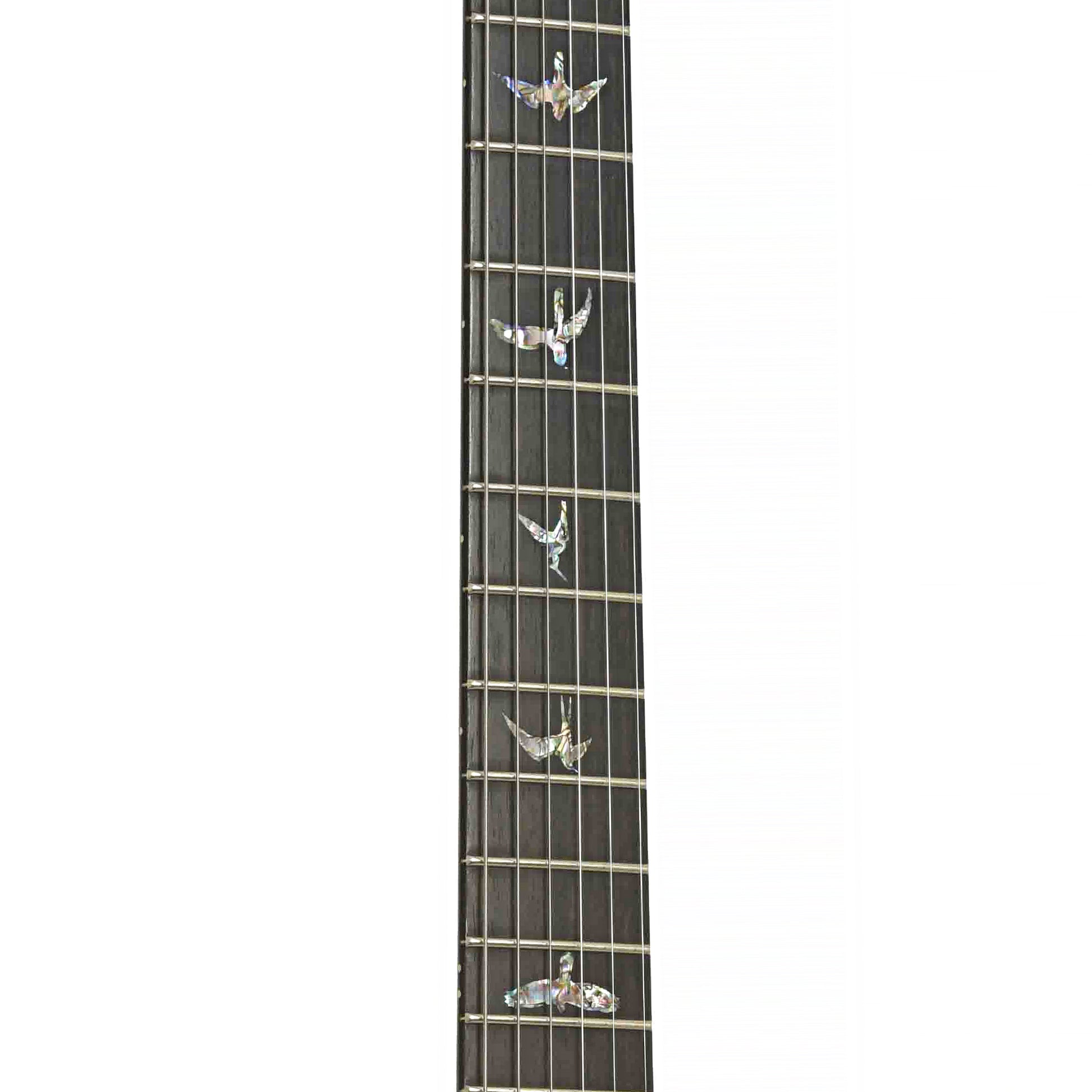 Fretboard of PRS Core Custom 22 Piezo Artist