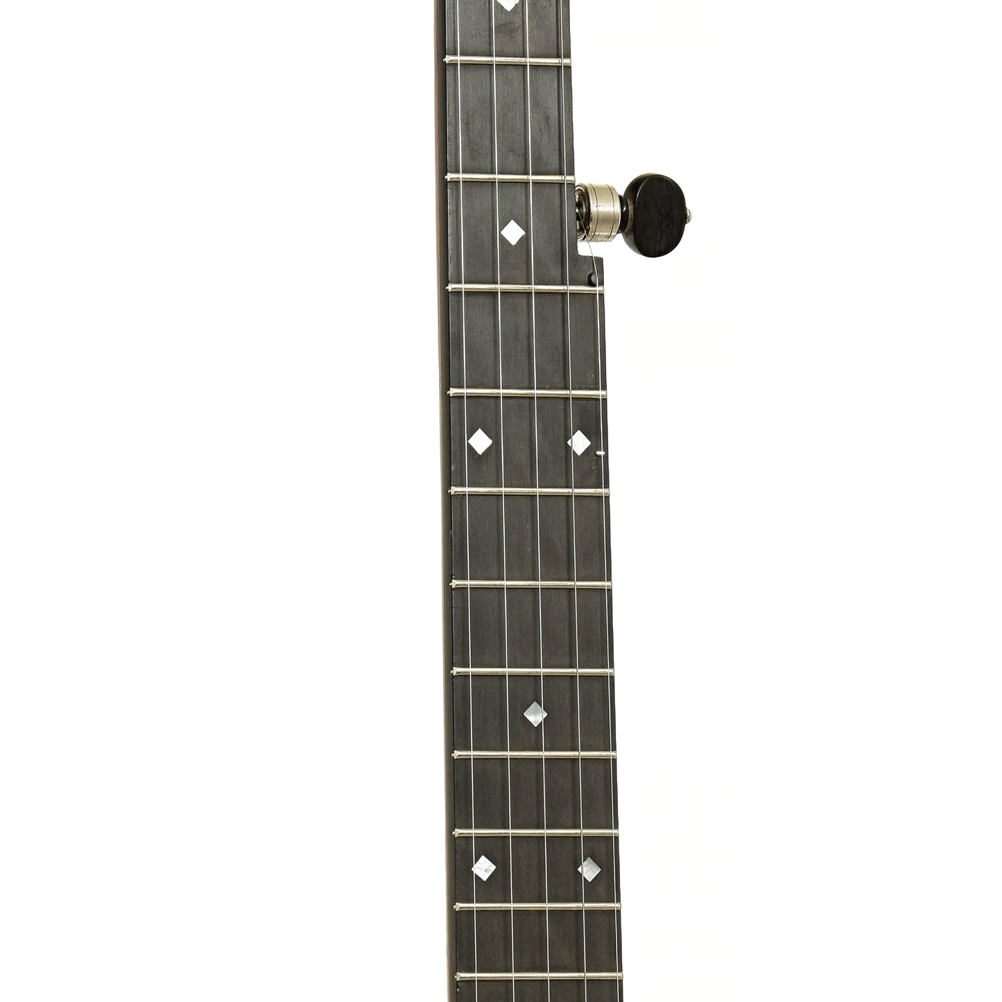 Fretboard of Cedar Mountain A2 Appalachia Banjo LH