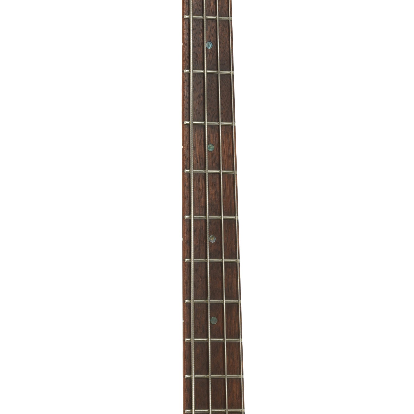Fretboard of ESP LTD B-204 Electric Bass 