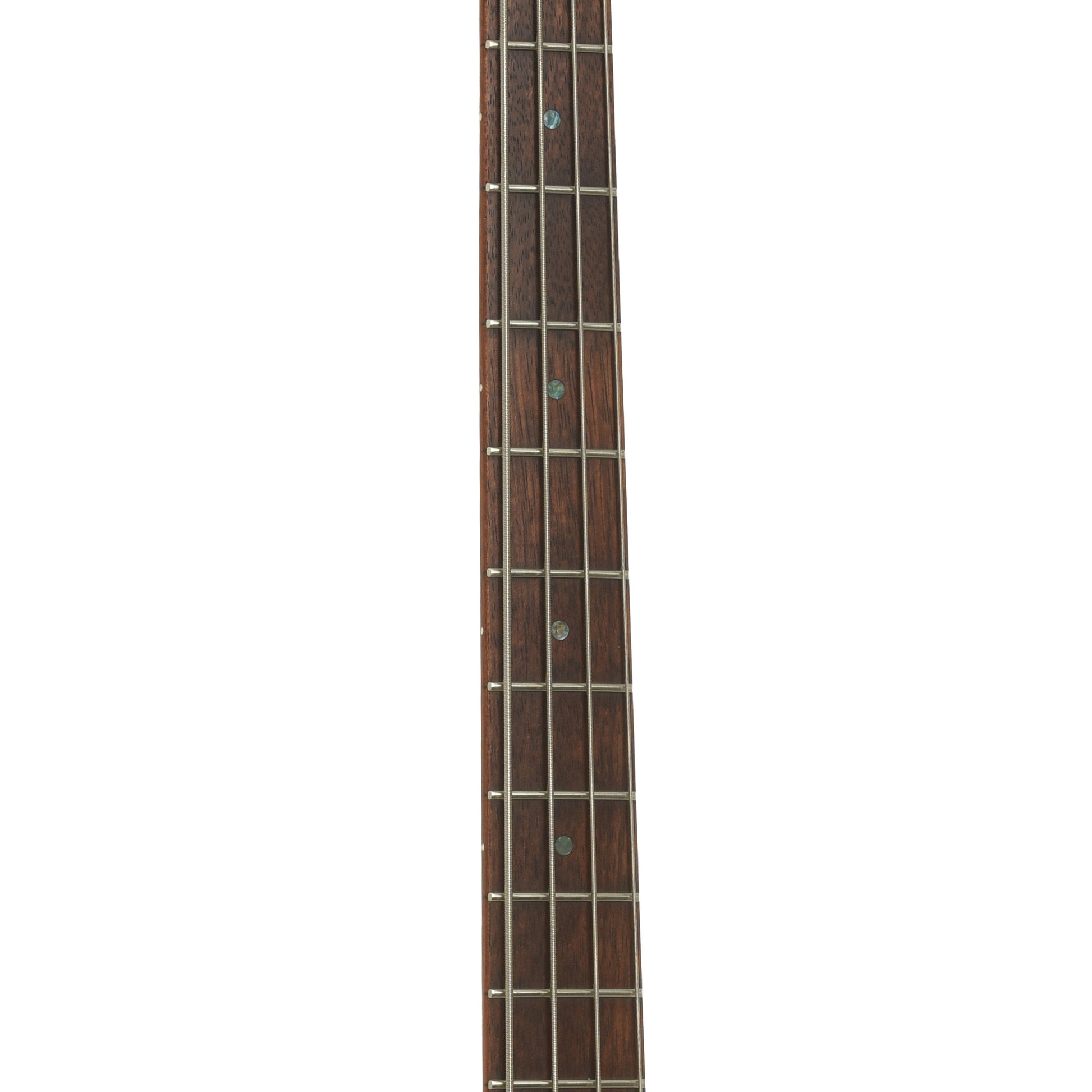 Fretboard of ESP LTD B-204 Electric Bass 