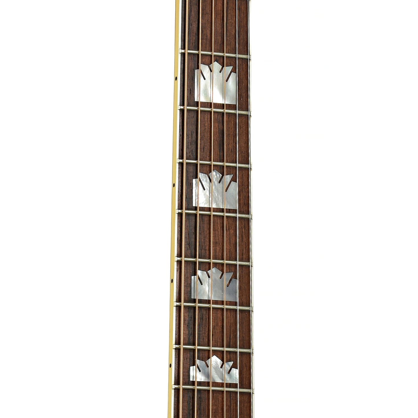 Fretboard of Gibson SJ-200 TRI Rosewood