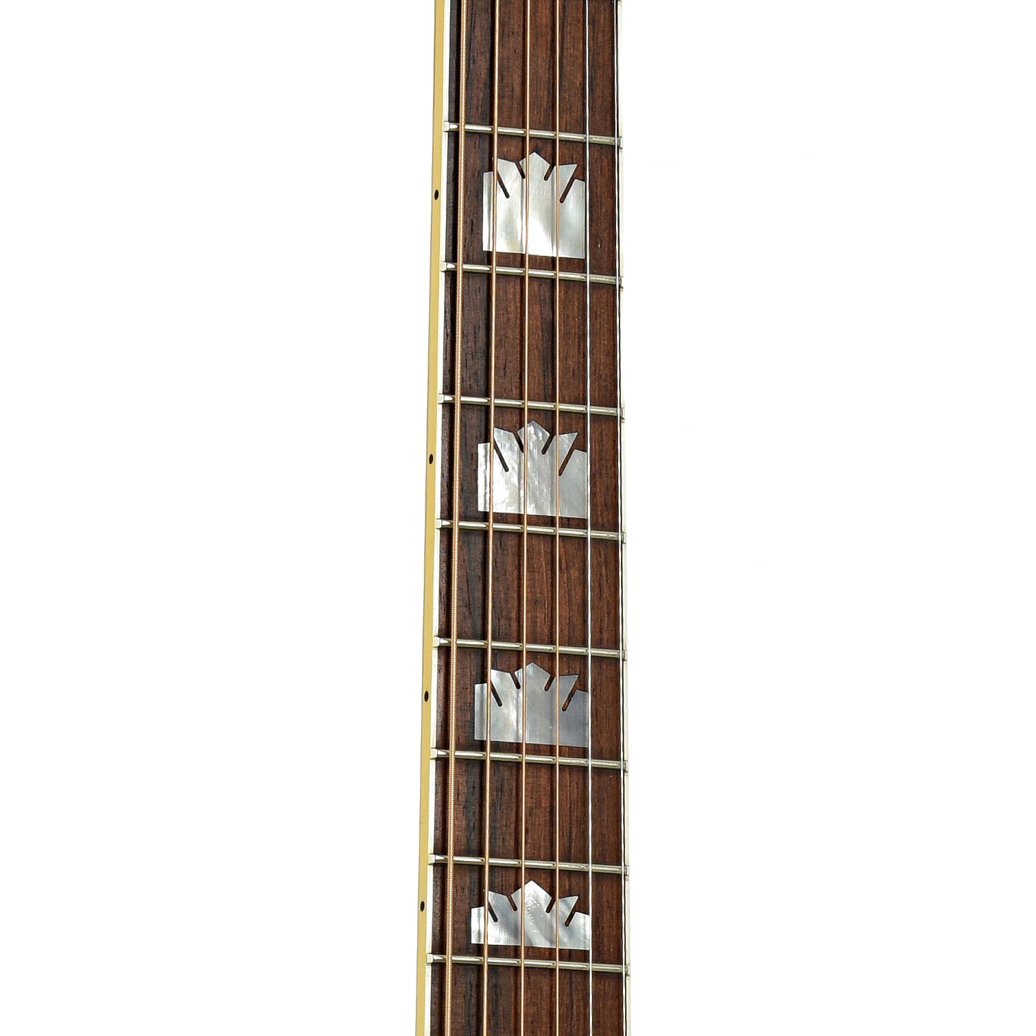 Fretboard of Gibson SJ-200 TRI Rosewood