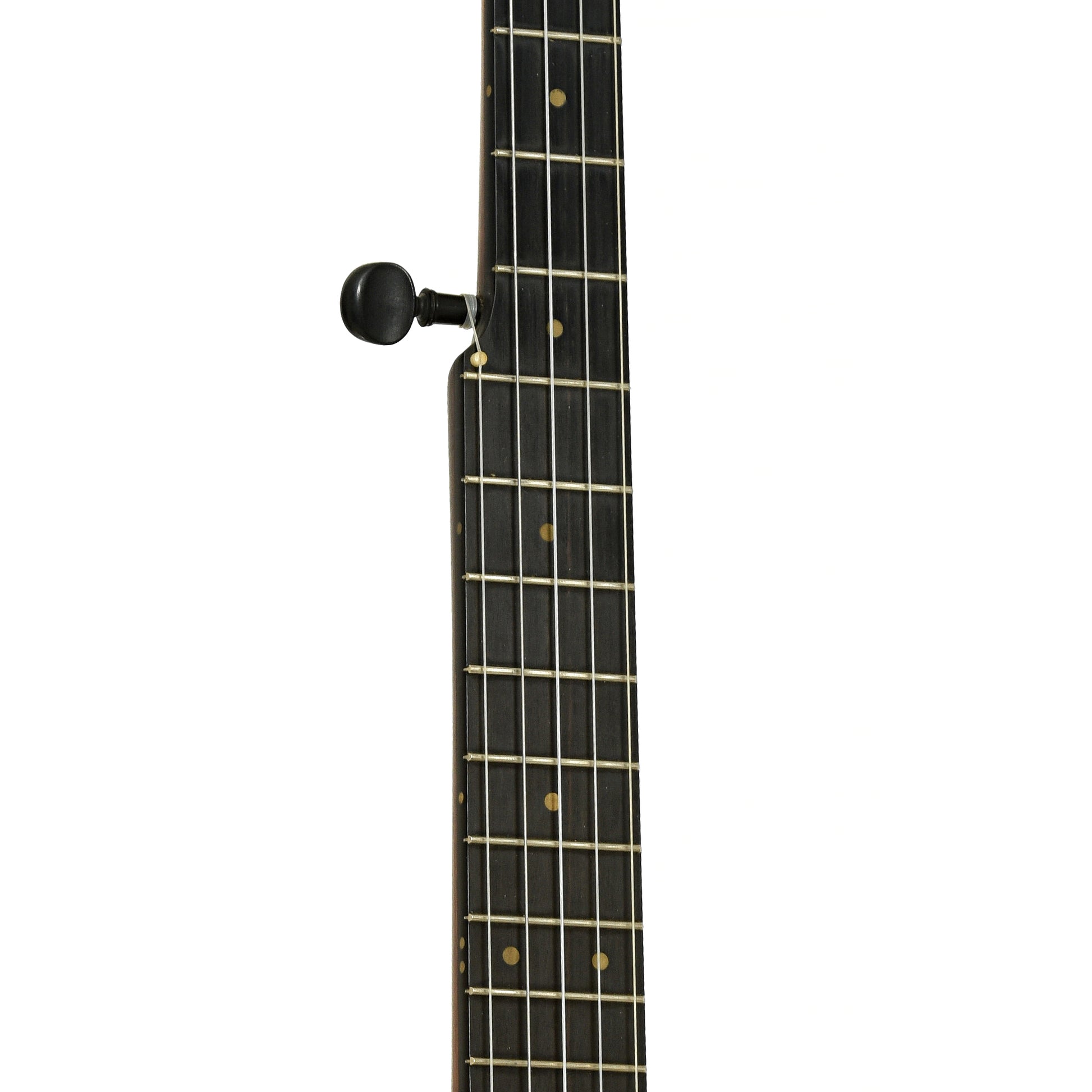 Fretboard of Buckbee-Style Open Back Banjo 
