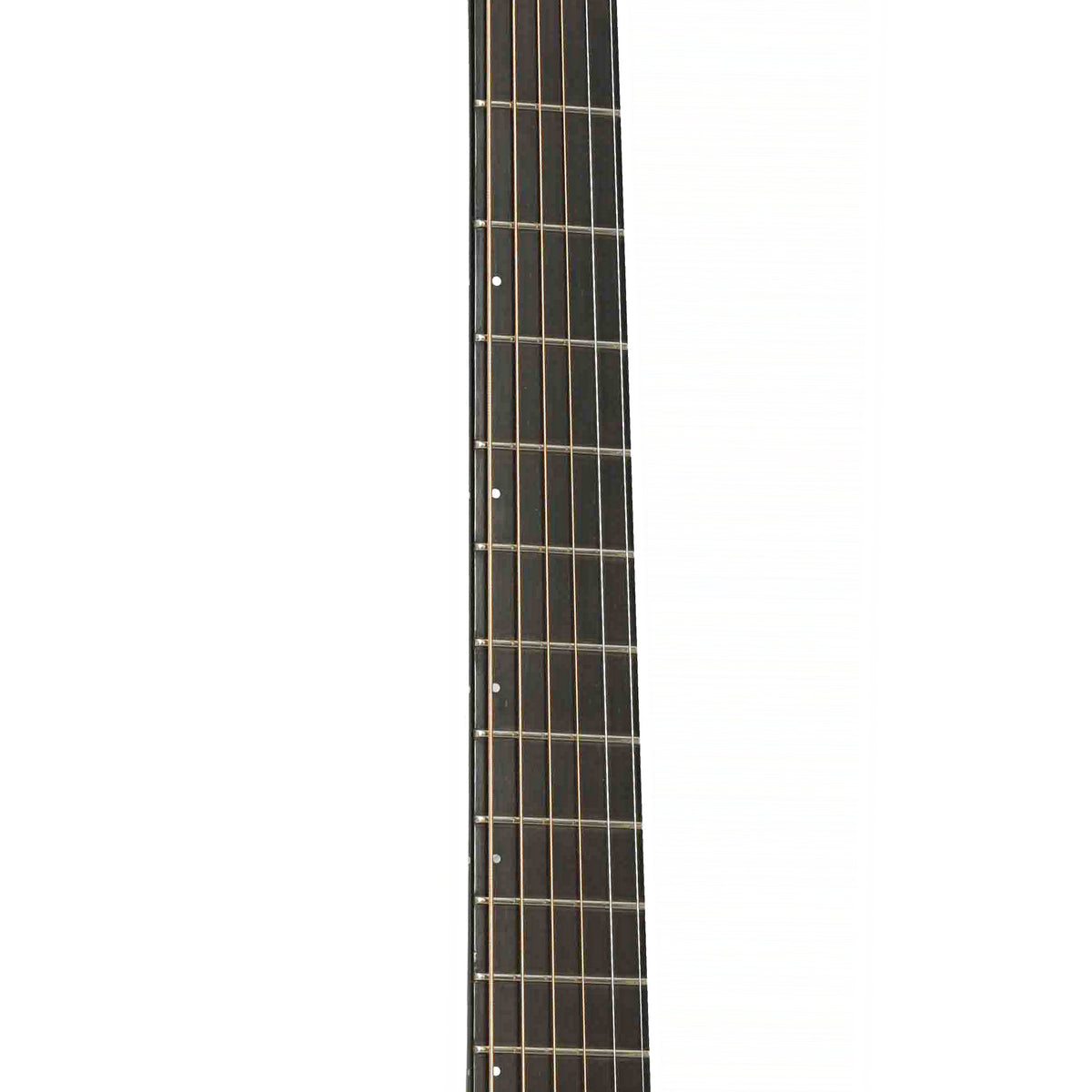 Fretboard of Breedlove SC20/W