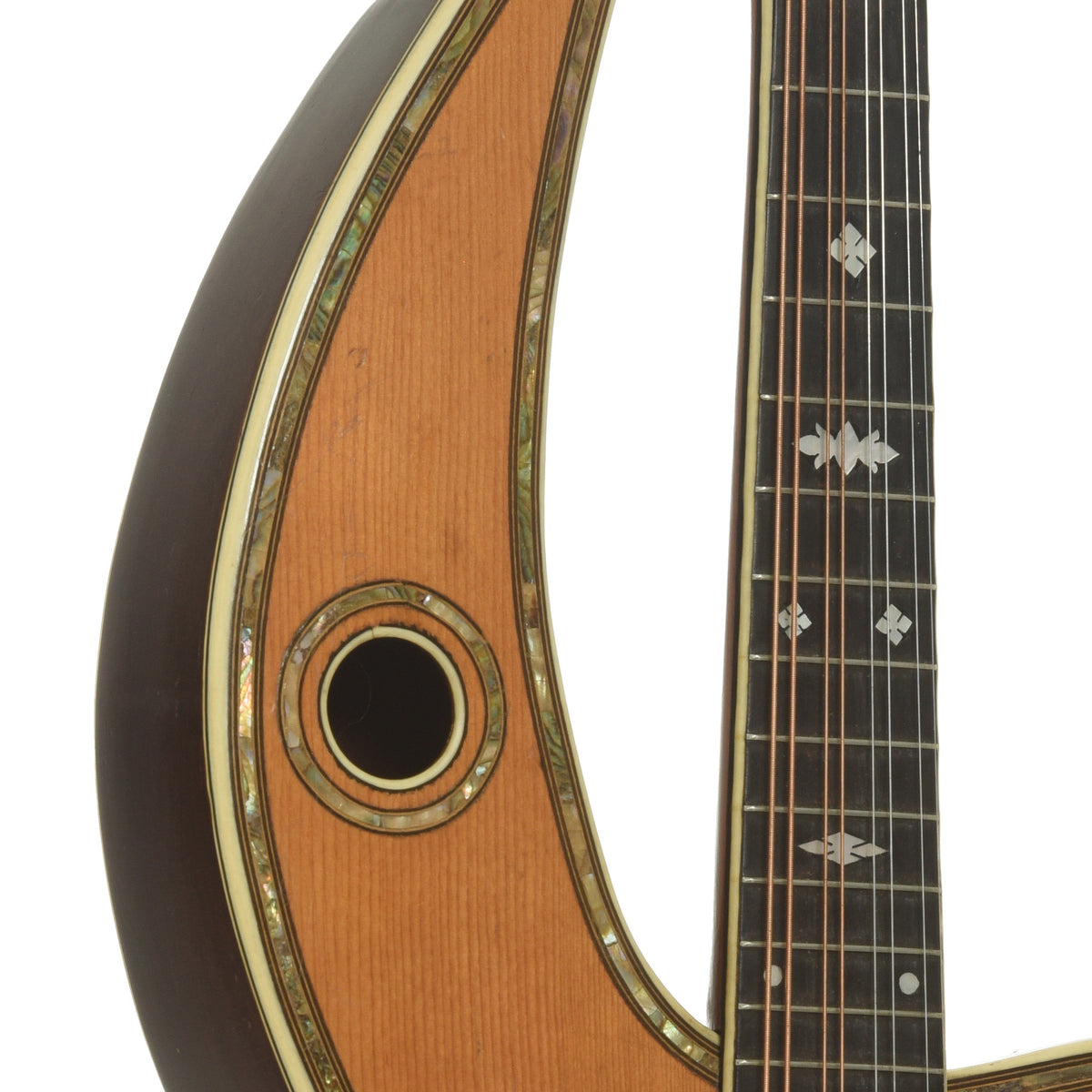 Fretboard of Dyer Symphonic Harp Mandolin Style 25 