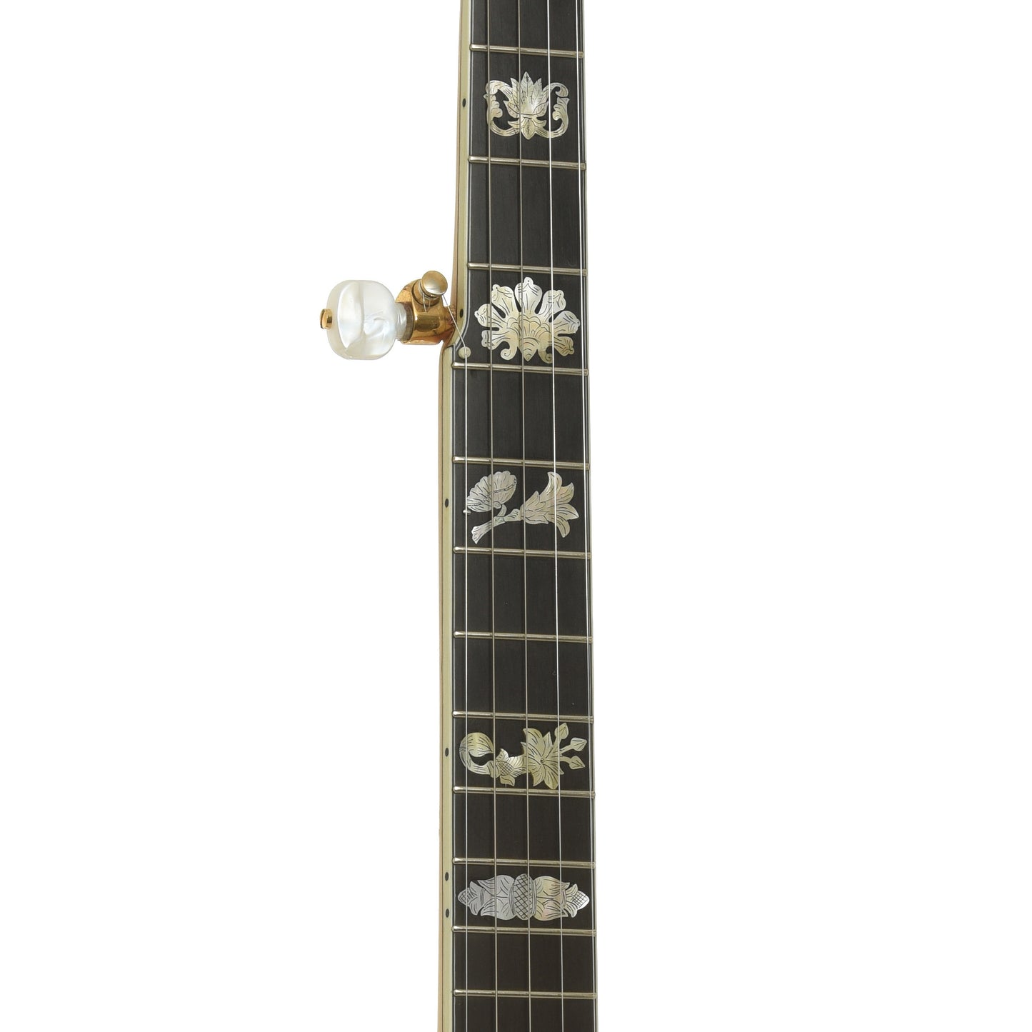 Fretboard of Cloverlick Custom Piney Woods Openback Banjo