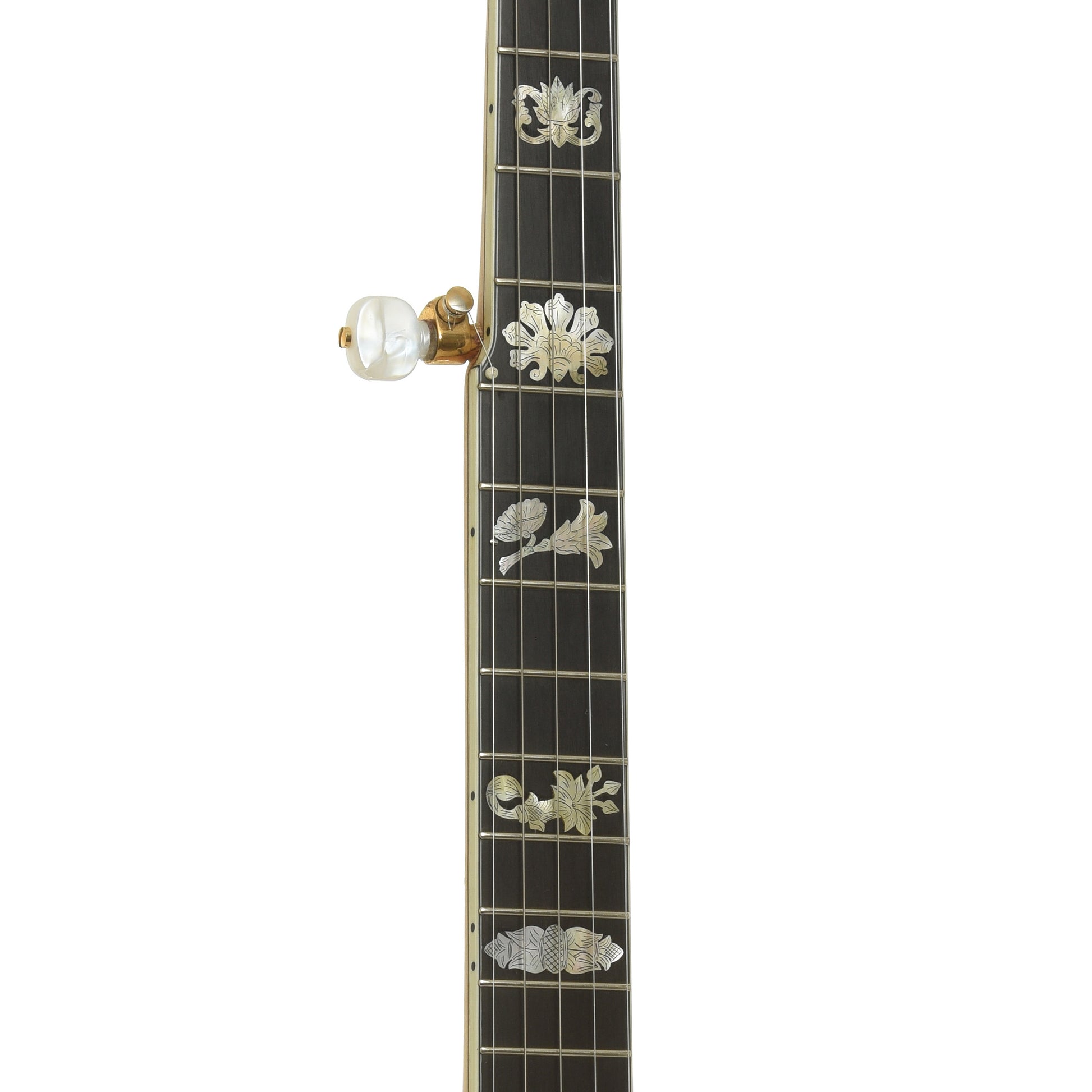 Fretboard of Cloverlick Custom Piney Woods Openback Banjo
