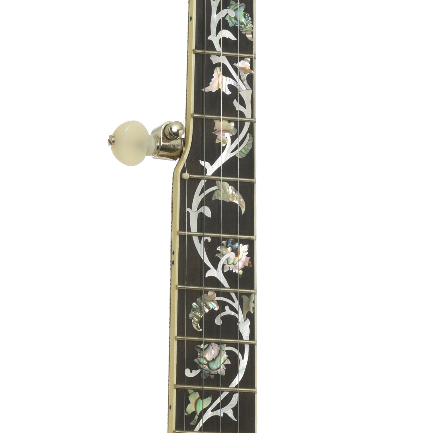 Fretboard of Wildwood Balladeer Openback Banjo