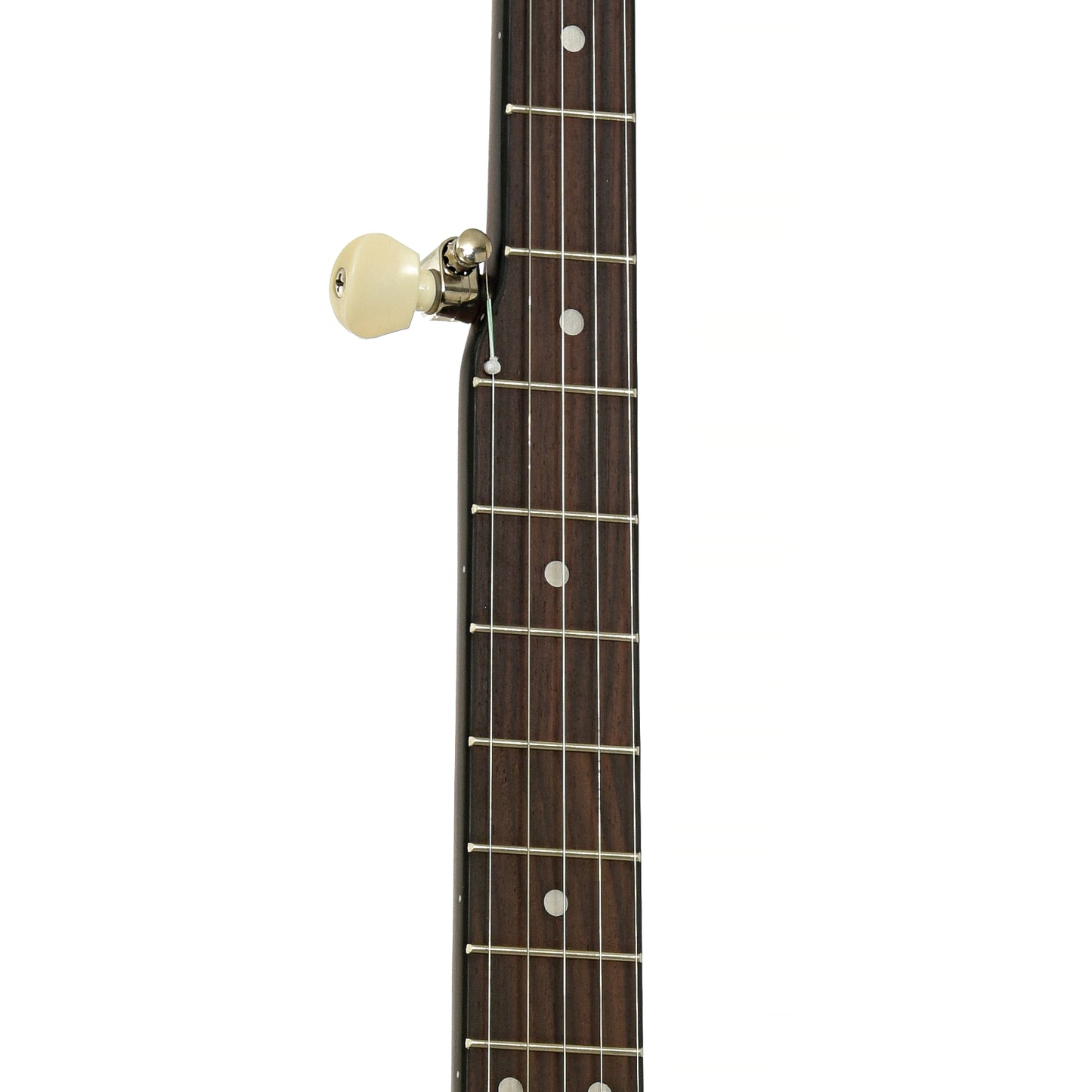 Fretboard of Recording King Dirty 30s Open Back Banjo Mahogany