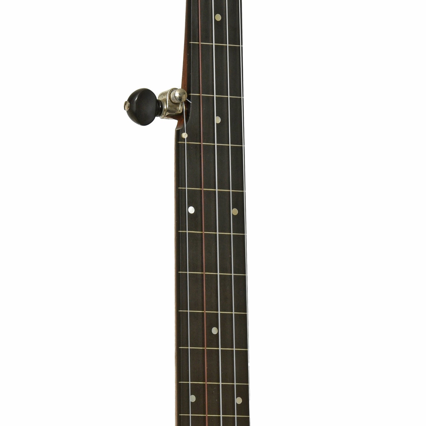 Fretboard of Enoch Tradesman Flush Fret Openback Banjo 