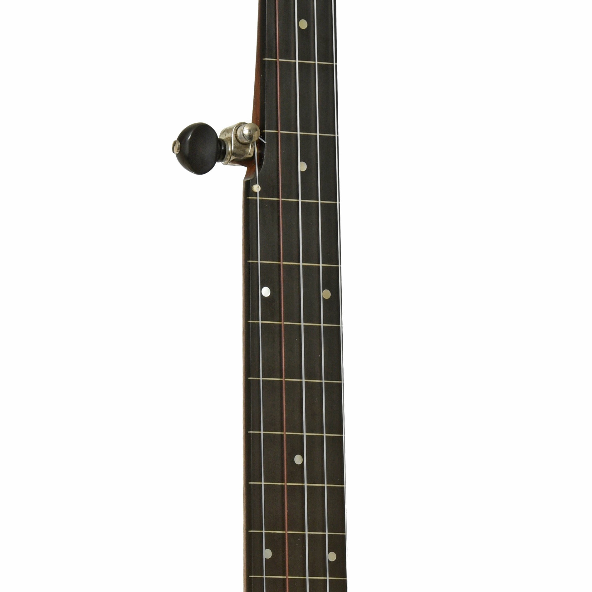 Fretboard of Enoch Tradesman Flush Fret Openback Banjo 