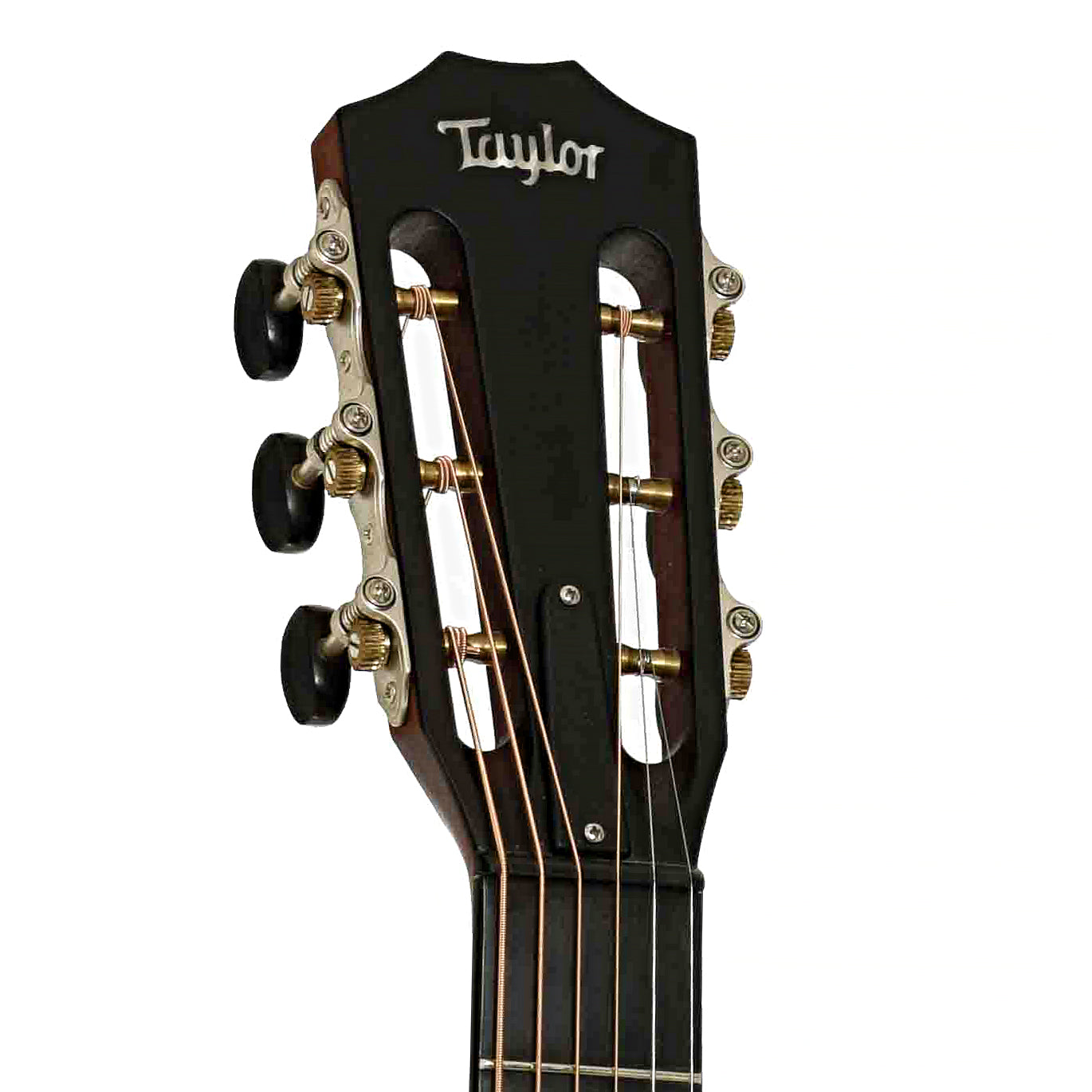 Headstock of Taylor 312CE 12-Fret Acoustic-Electric Guitar 