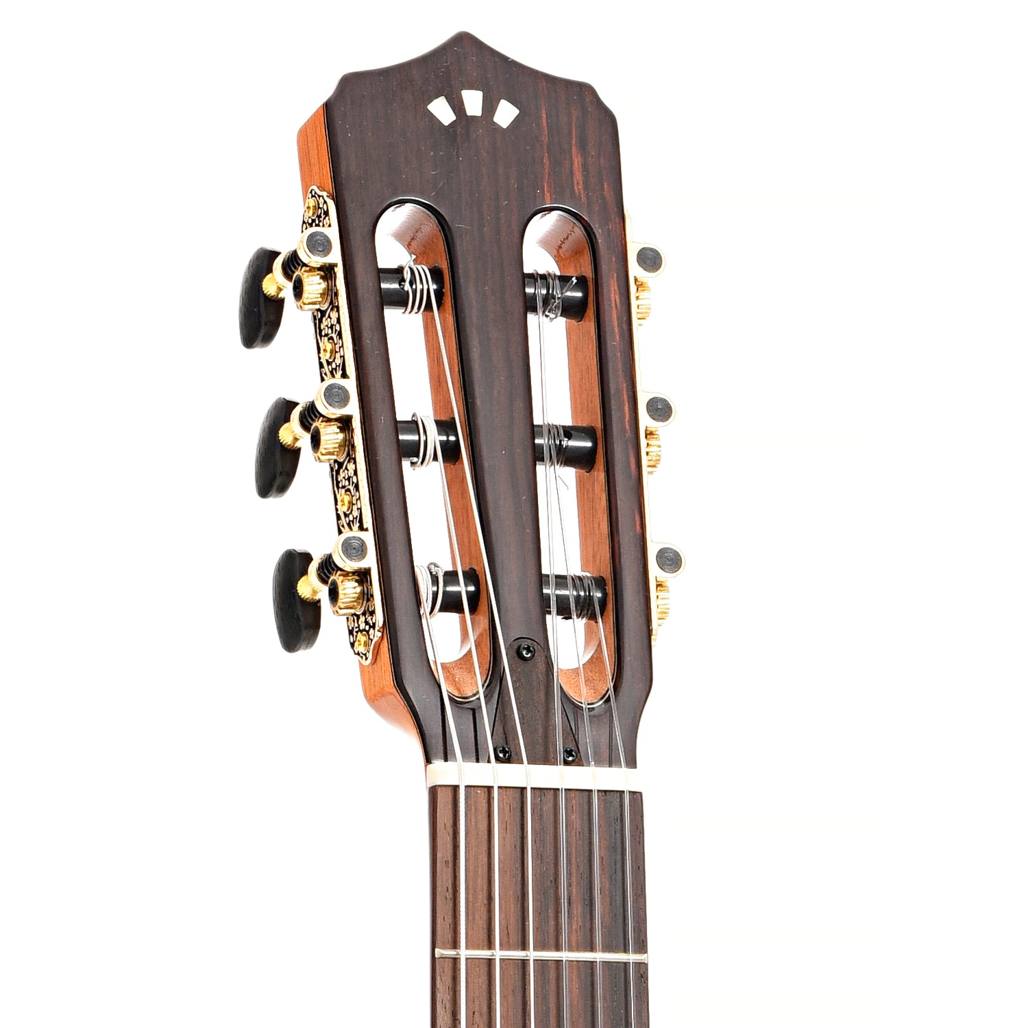 Front headstock of Cordoba Limited Edition Garnet Stage