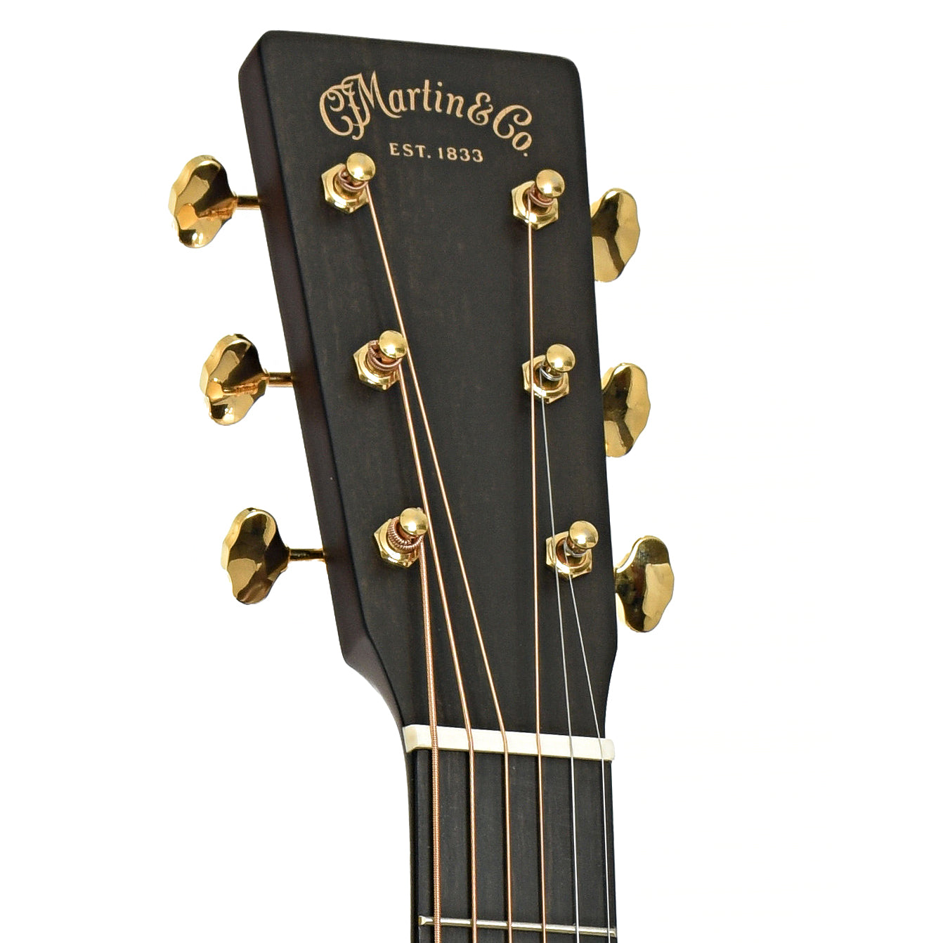 Headstock of Martin GPE Inception Maple Acoustic Guitar