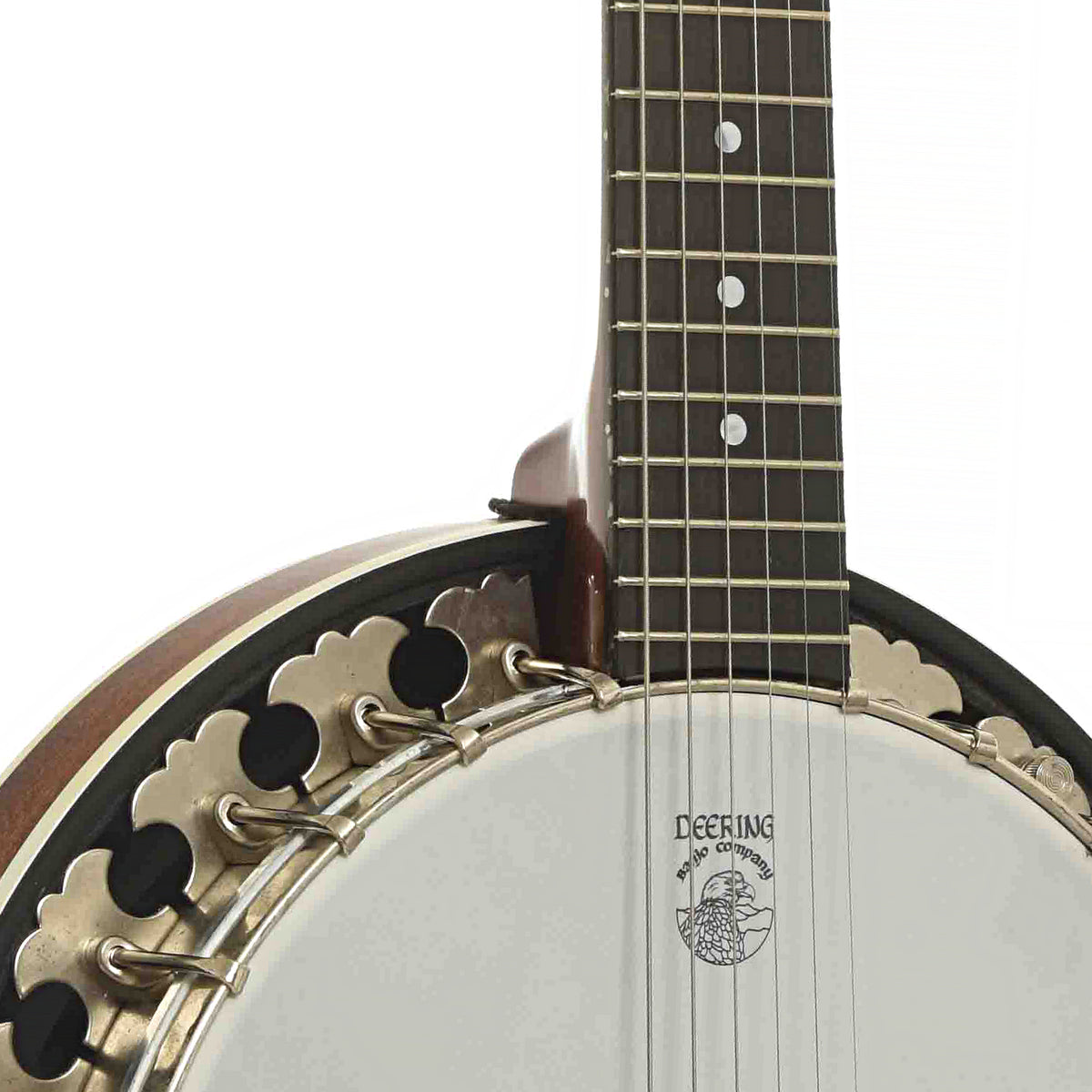 Neck Joint of Deering Boston 6 Banjo-Guitar