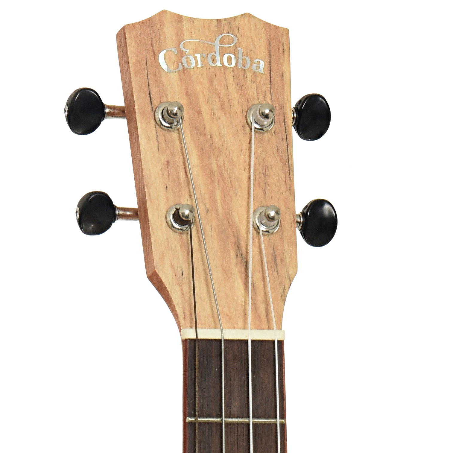 eaestock of Cordoba 24B Baritone Ukulele