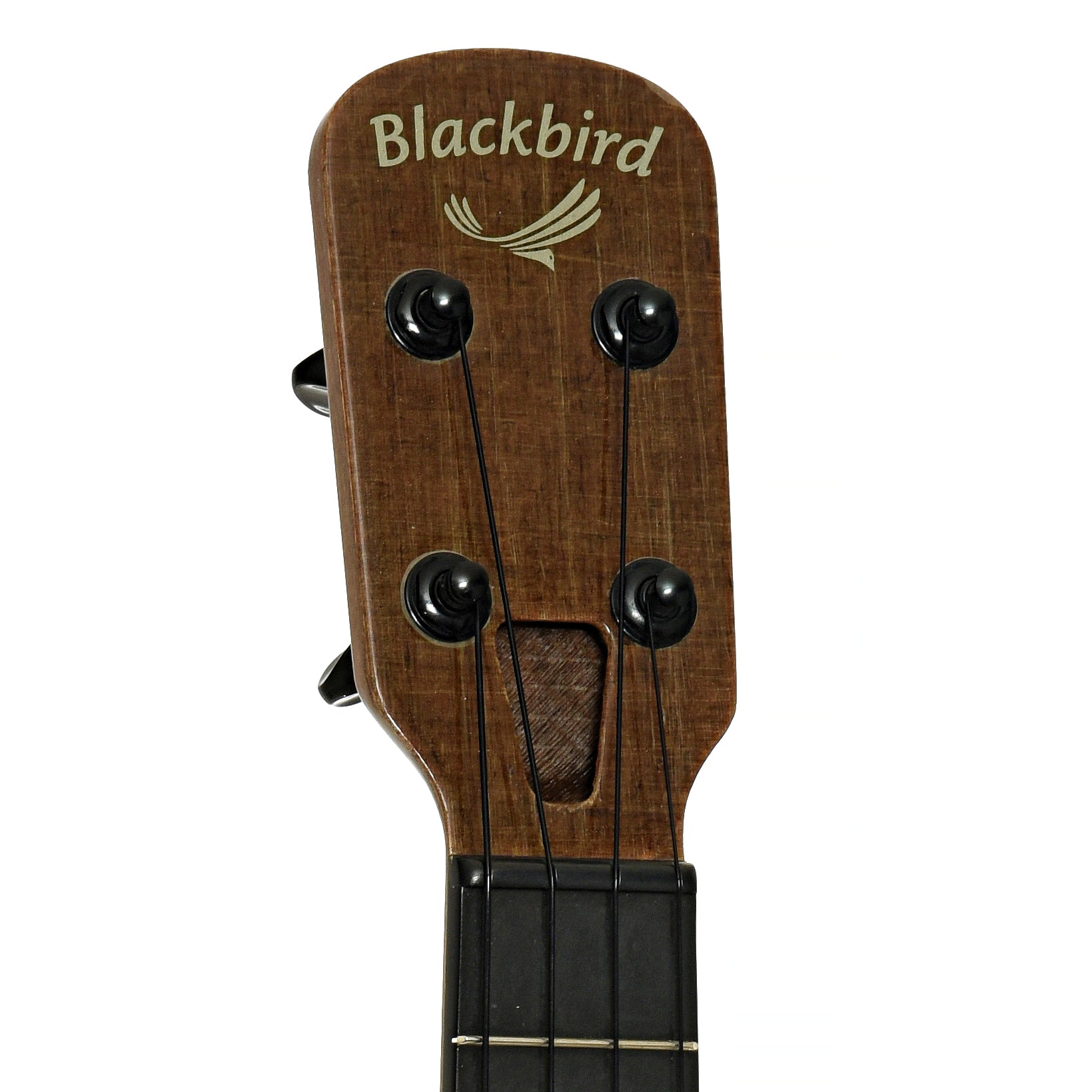 Headstock of Blackbird Clara Concert Ukulele 