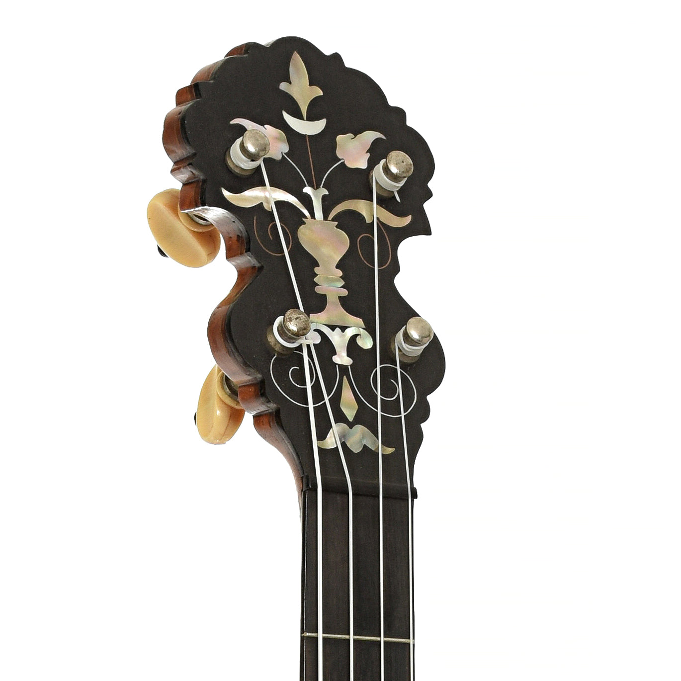 Headstock of S.S. Stewart Gnome Open Back Banjo 