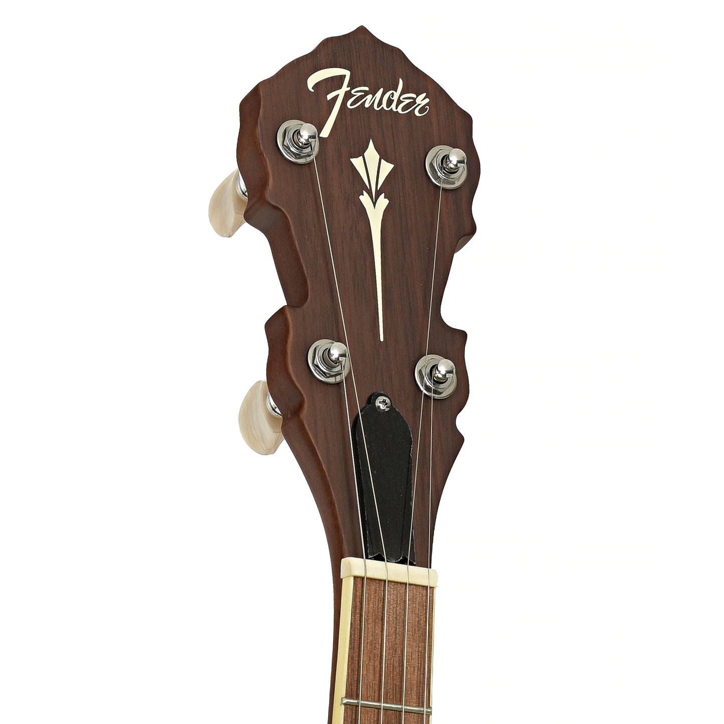 Hreadstock of Fender Paramount PB-180E Open Back Banjo