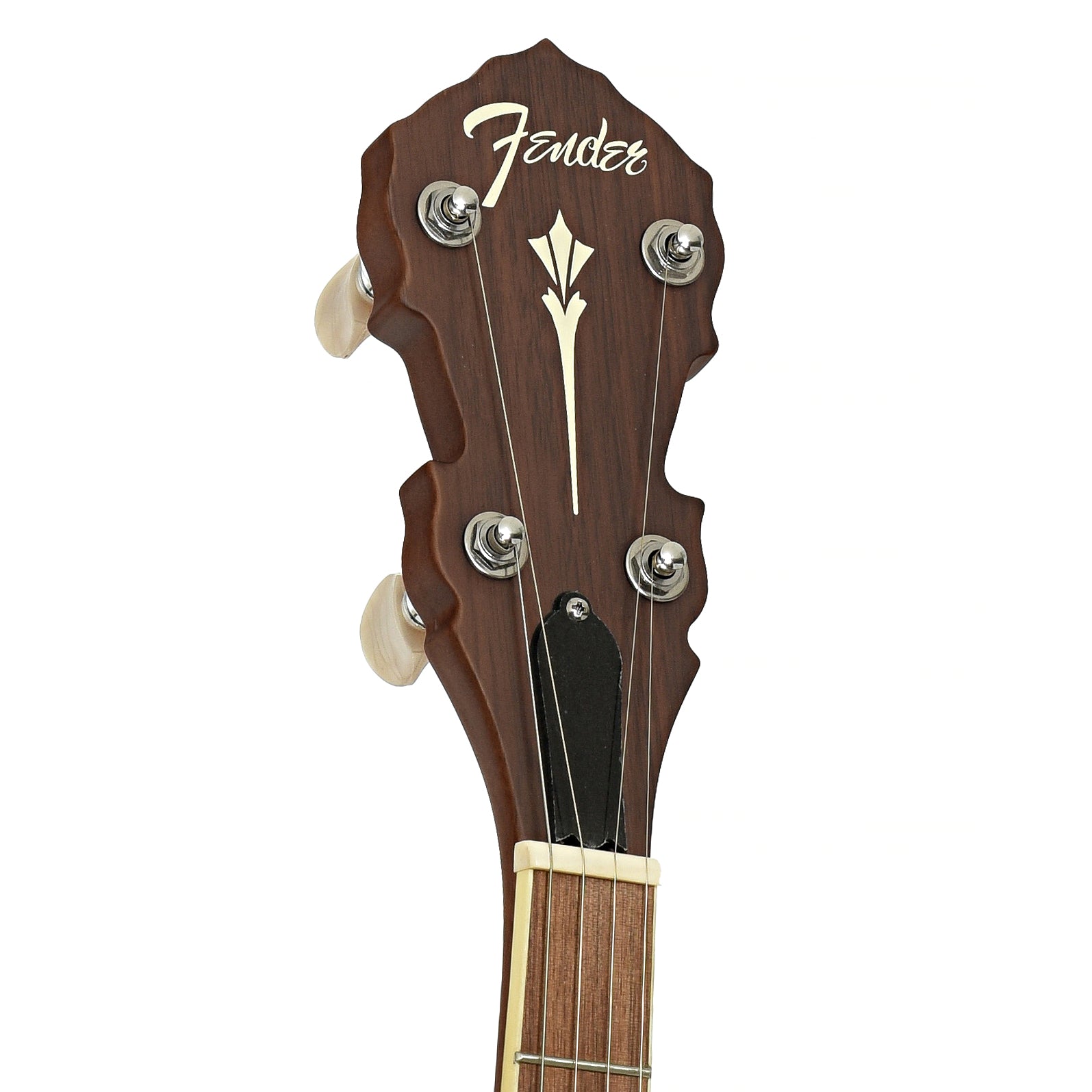 Hreadstock of Fender Paramount PB-180E Open Back Banjo