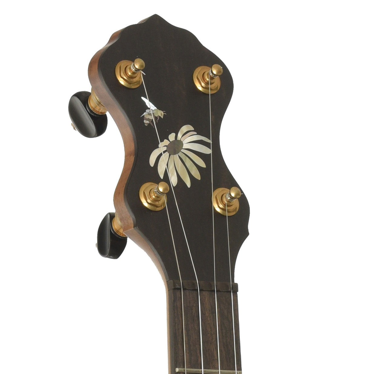 Headstoock of Ozark Banjo Co. Maple Whyte Laydie 12" Openback Banjo