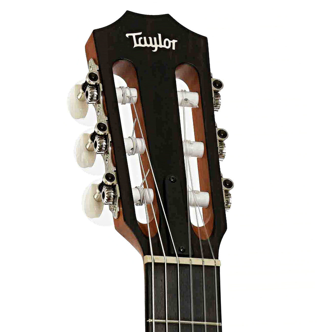 Headstock of Taylor 214CE-N Nylon String Acoustic Guitar