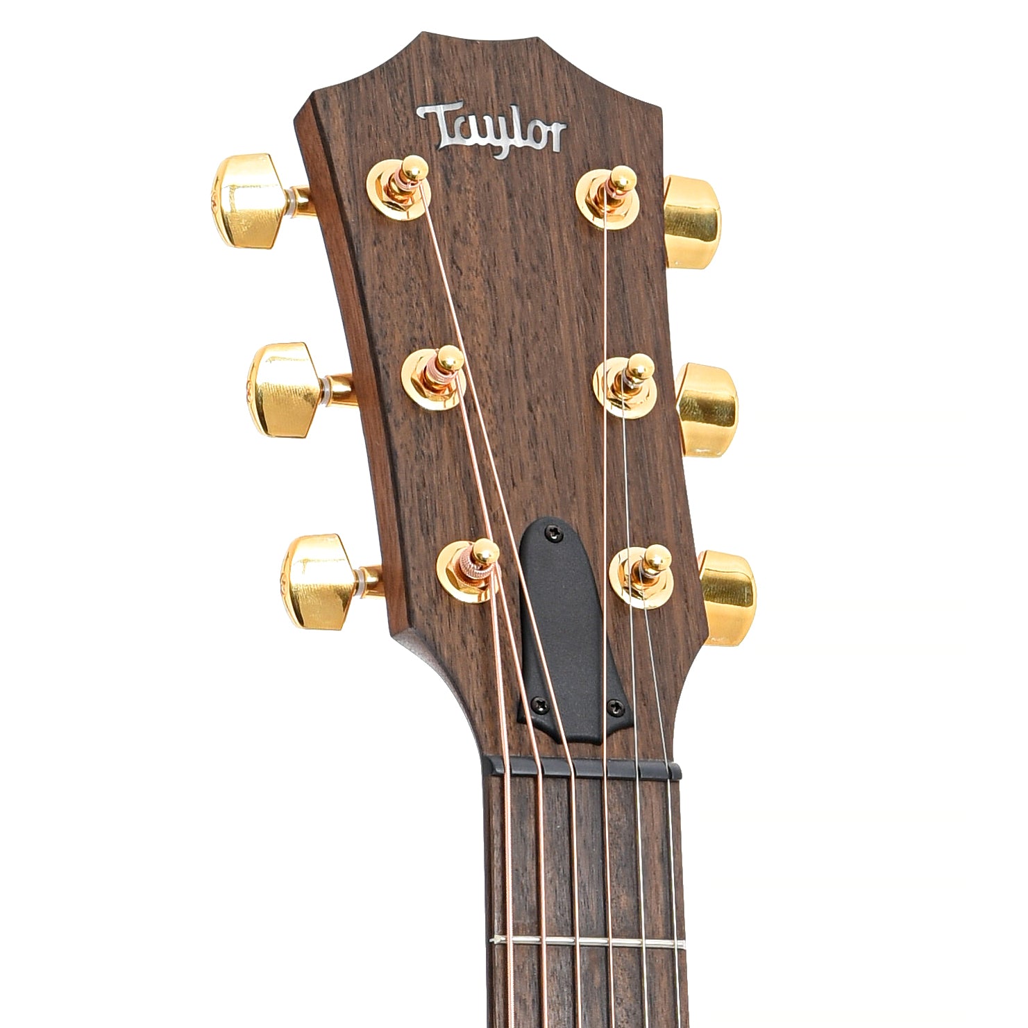 Front headstock of Taylor 50th Anniversary AD14ce-SB LTD Acoustic 