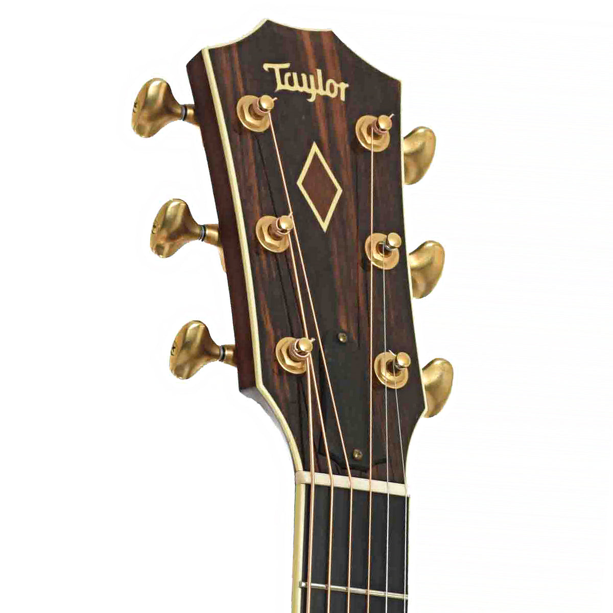 Front headstock of Taylor GSce-FLTD