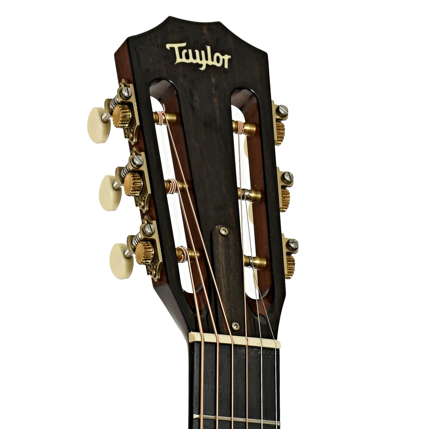 Headstock of Taylor 612ce 12-Fret Acoustic-Electric Guitar