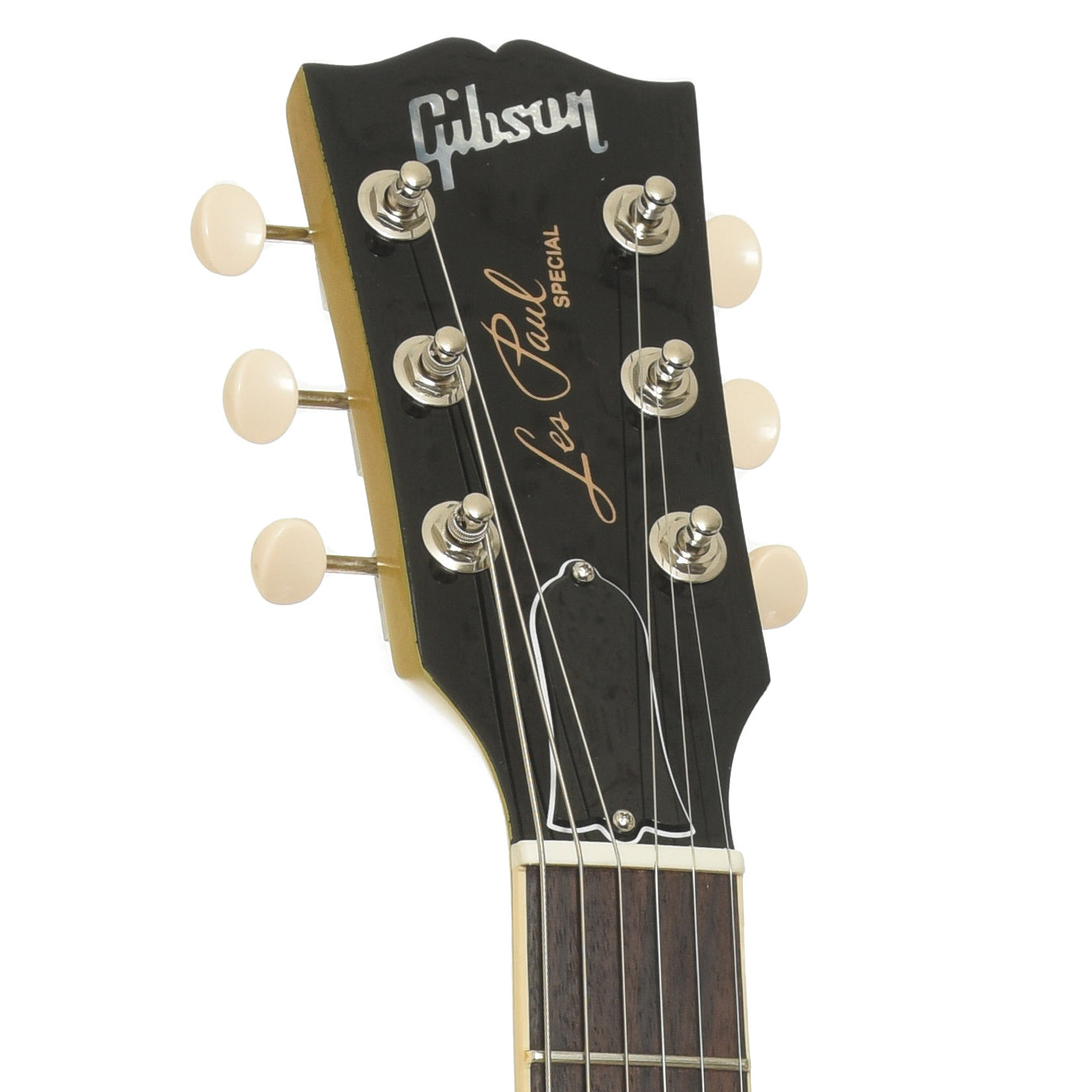 Headstock of Gibson Les Paul Special Electric Guitar 