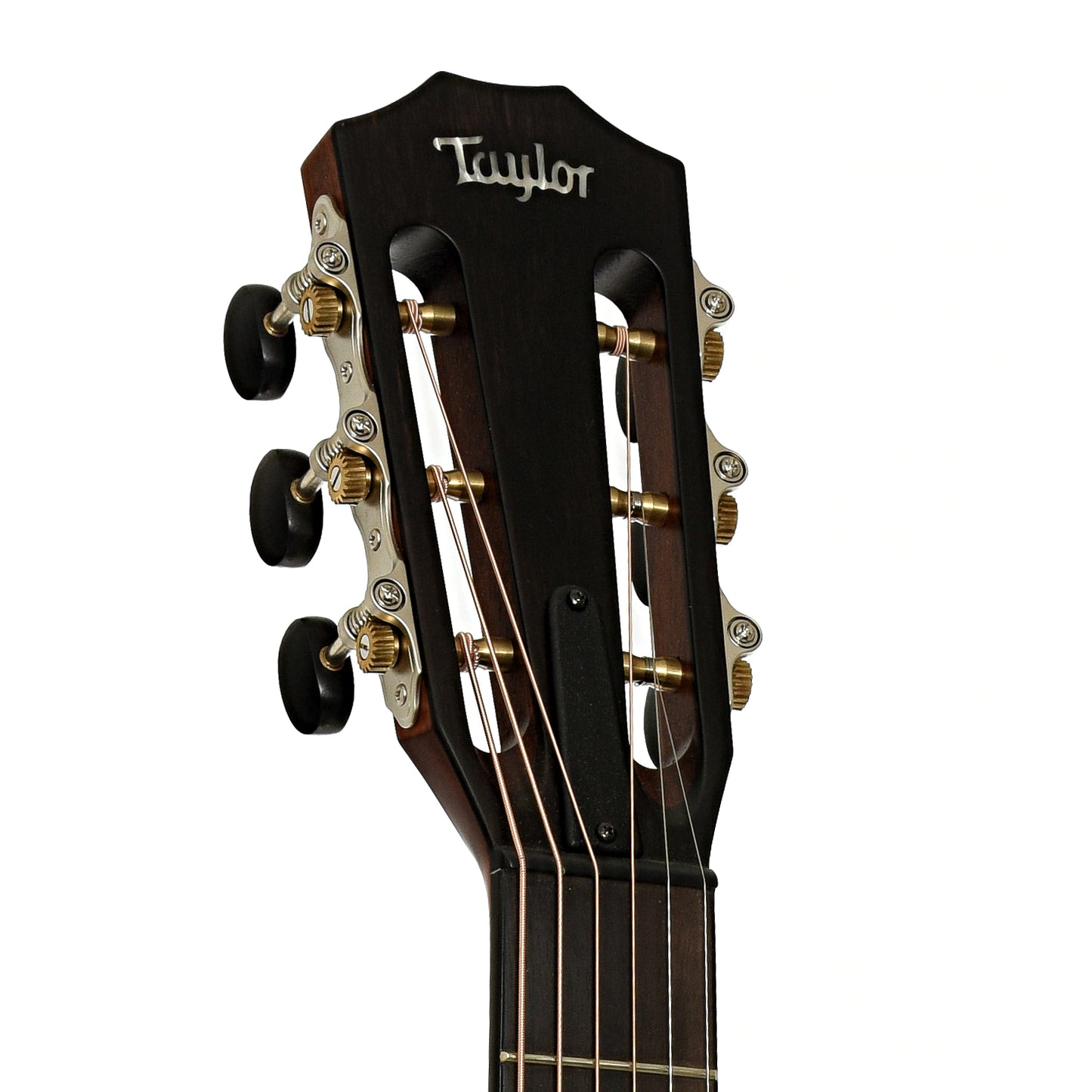 Headstock of Taylor 312ce 12-Fret Acoustic-Electric Guitar