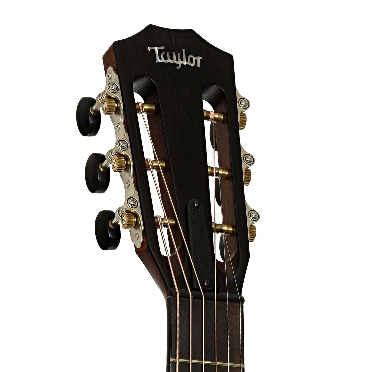 Headstock of Taylor 312ce 12-Fret Acoustic-Electric Guitar