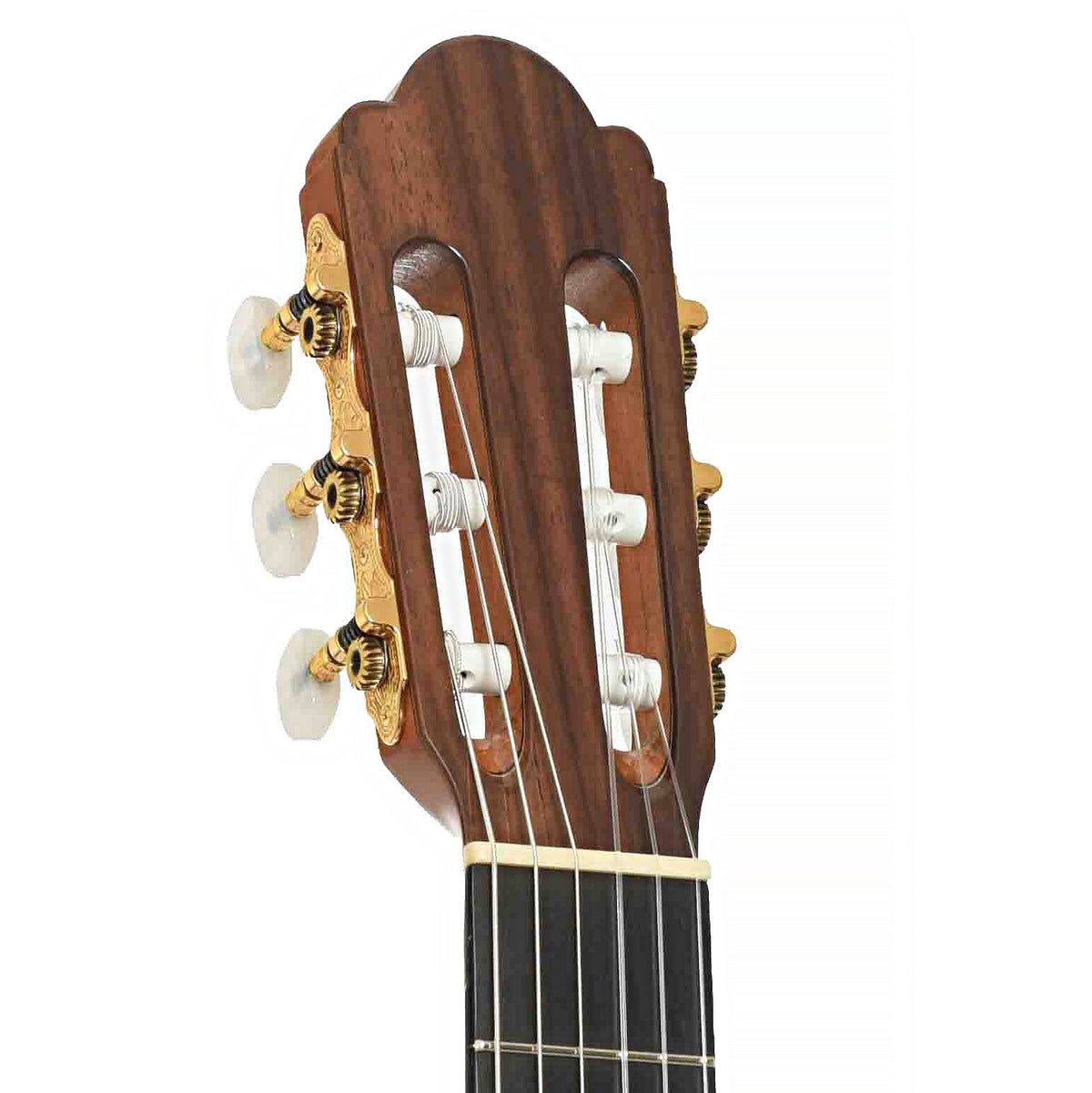 Front headstock of Master Series Torres Classical