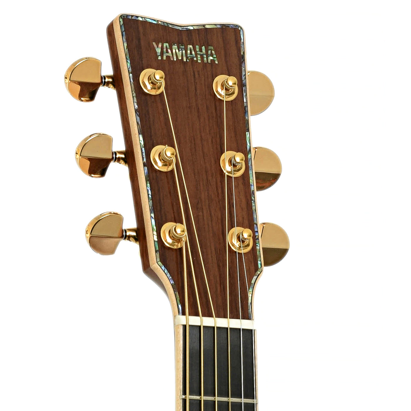 Fretboard of Yamaha LS56 Custom Acoustic Guitar