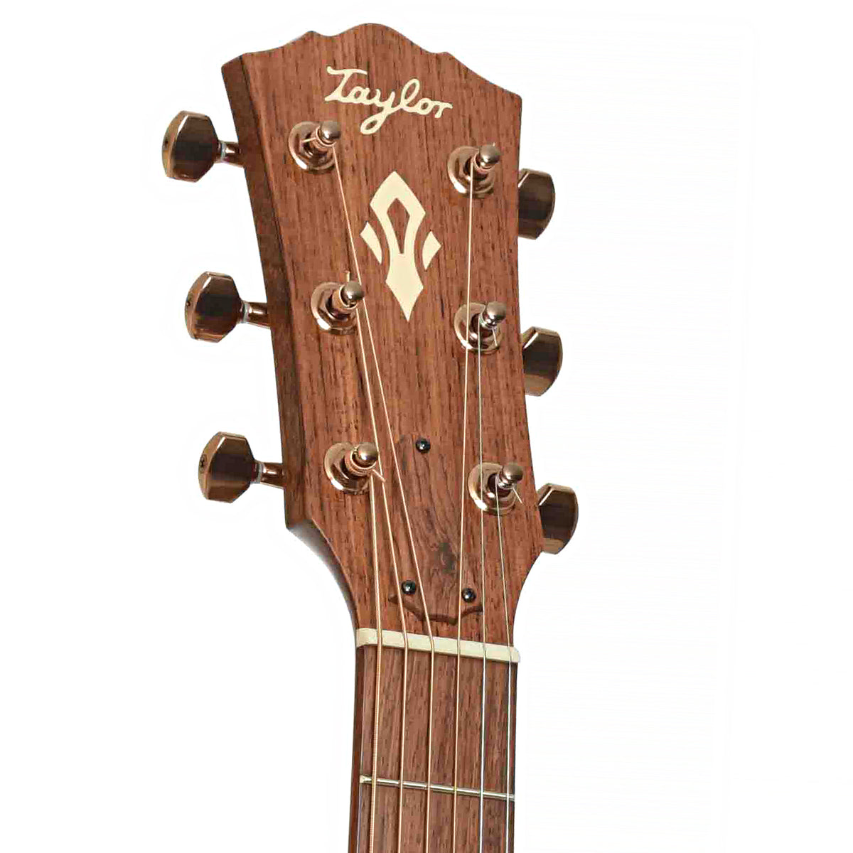 Front headstock of Ben Harper Gold Label 512e SE Grand Concert