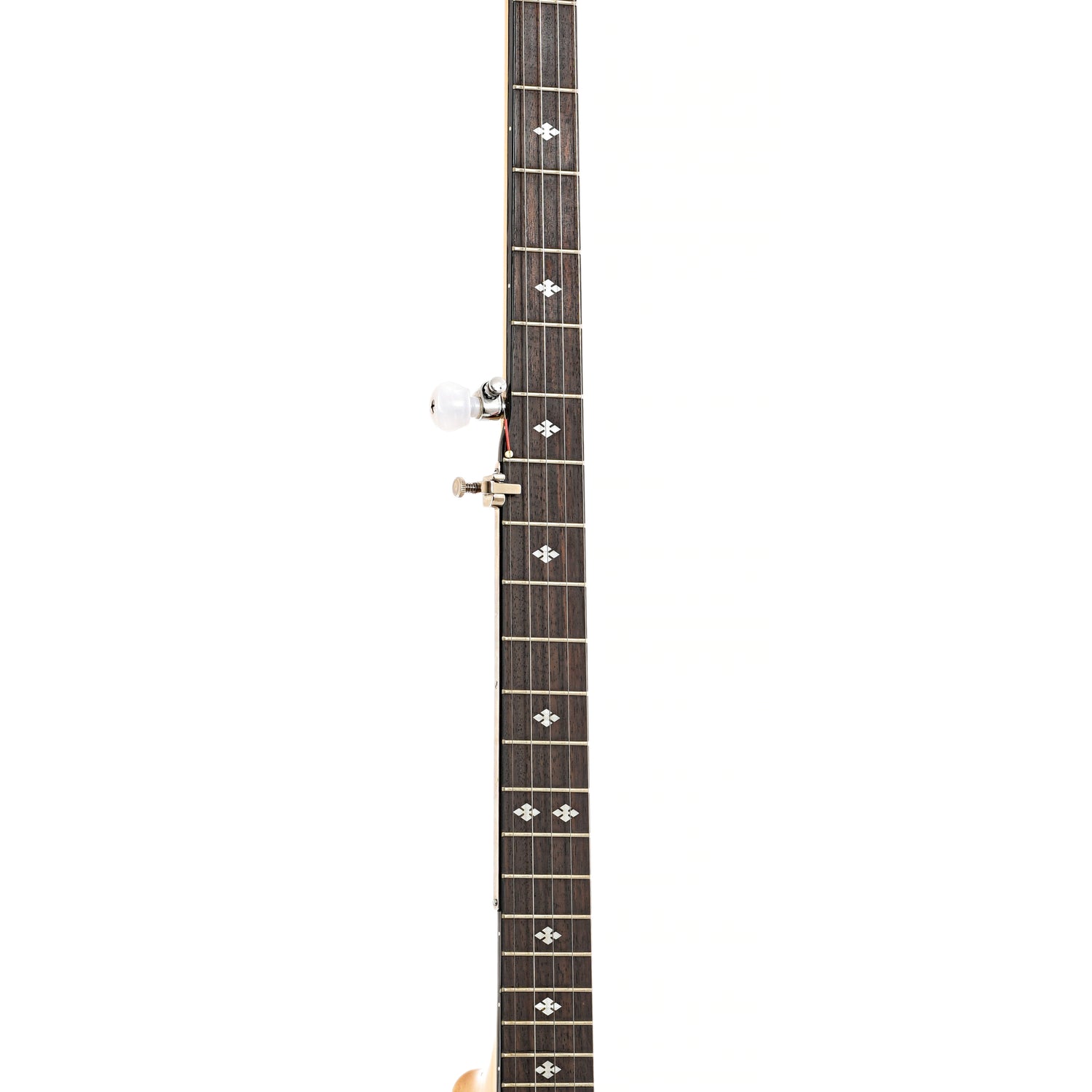 Fretboard of Gold Tone MM150LN Extra Longneck Banjo (2003)
