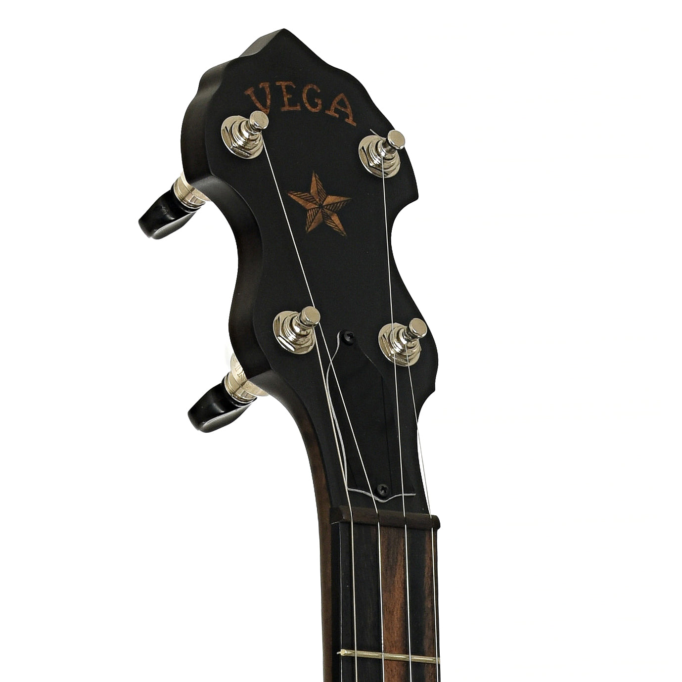Headstock of Vega Vintage Star 12" Open Back Banjo