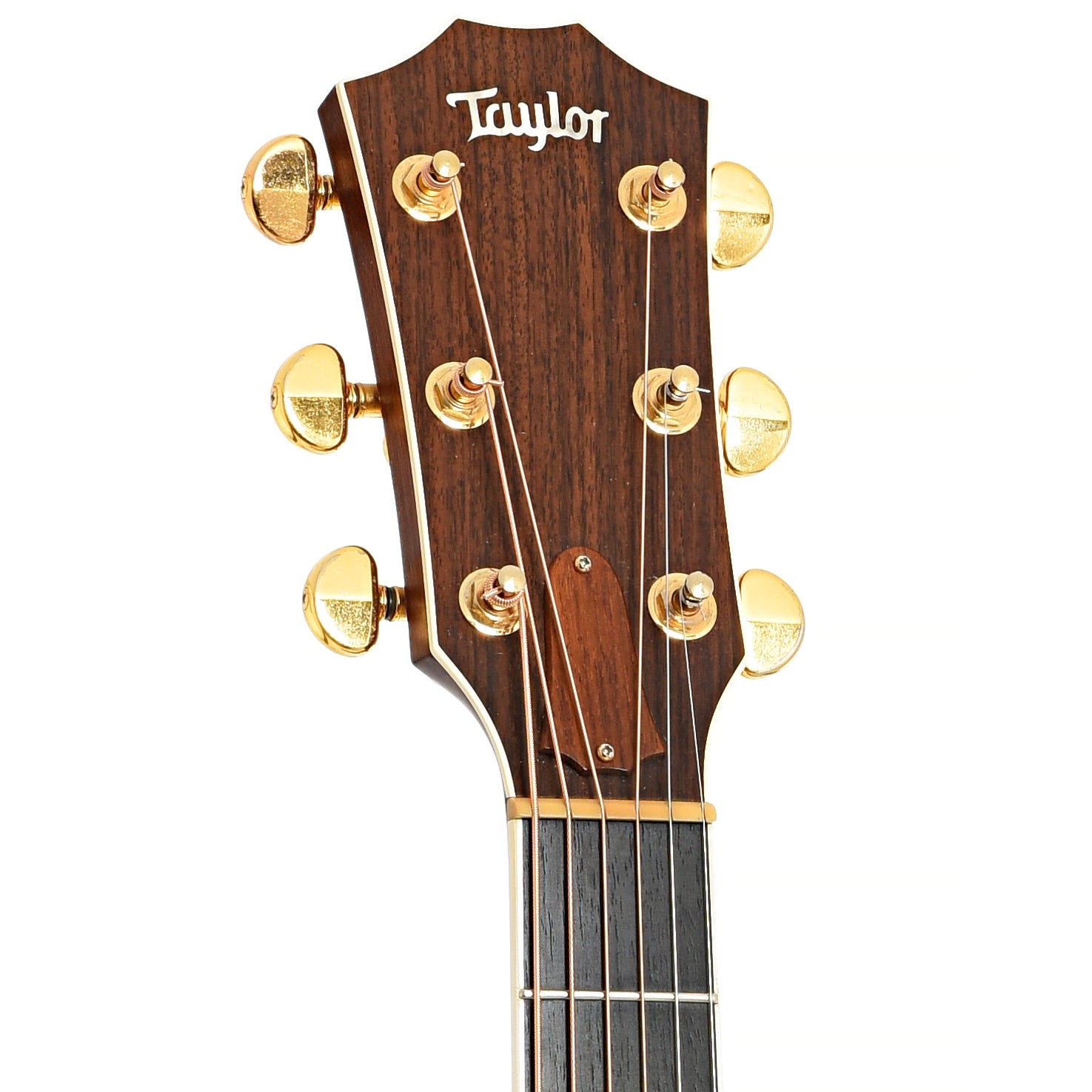 Front headstock of Taylor 815C Acoustic Guitar (1995)
