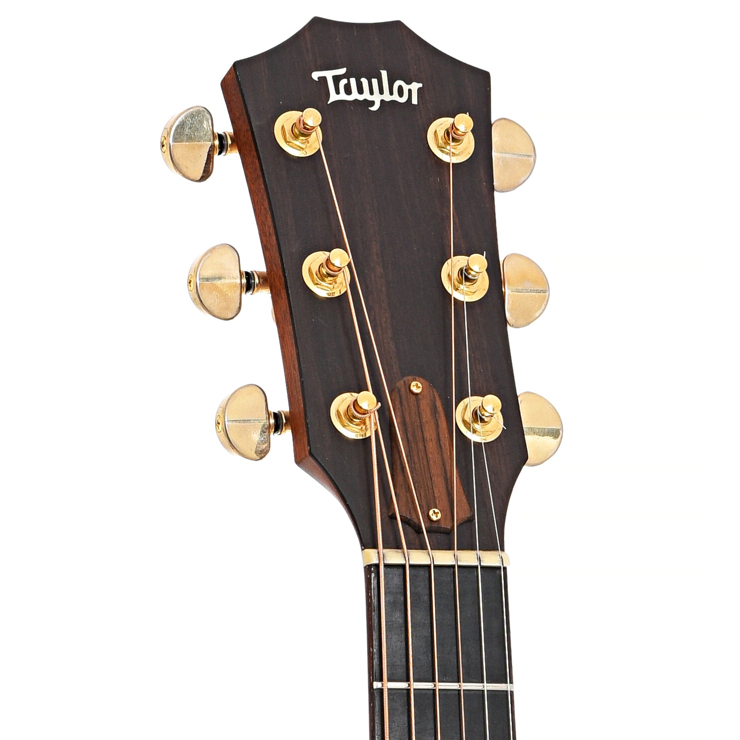 Front headstock of Taylor 514-CE Acoustic Guitar (2001)