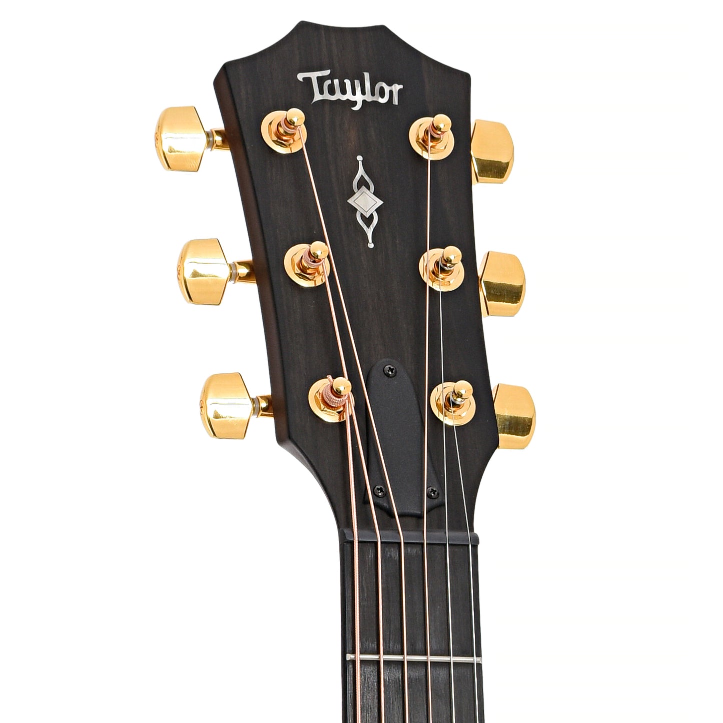 front and headstock of Taylor 50th Anniversary 314ce LTD Acoustic Guitar