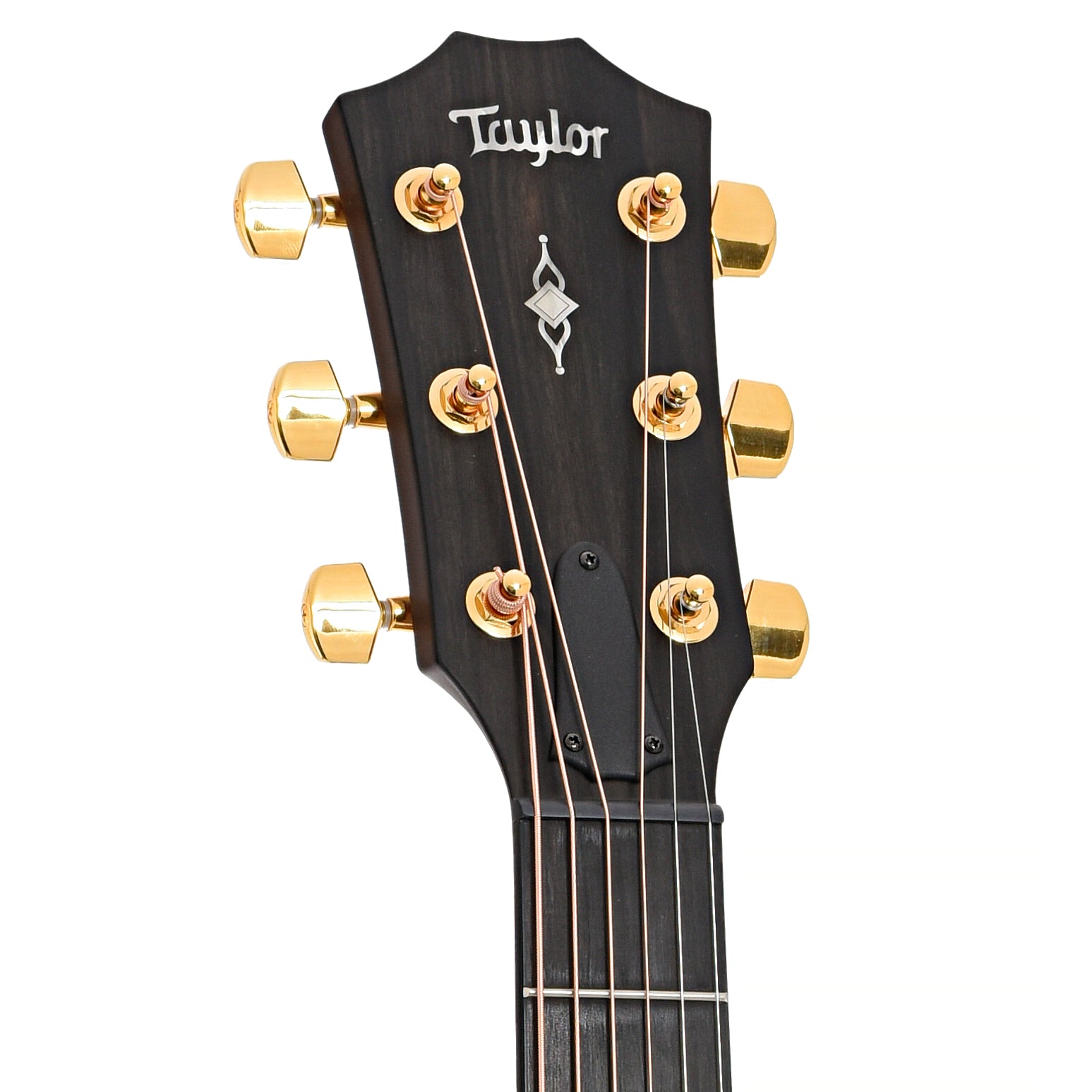 front and headstock of Taylor 50th Anniversary 314ce LTD Acoustic Guitar