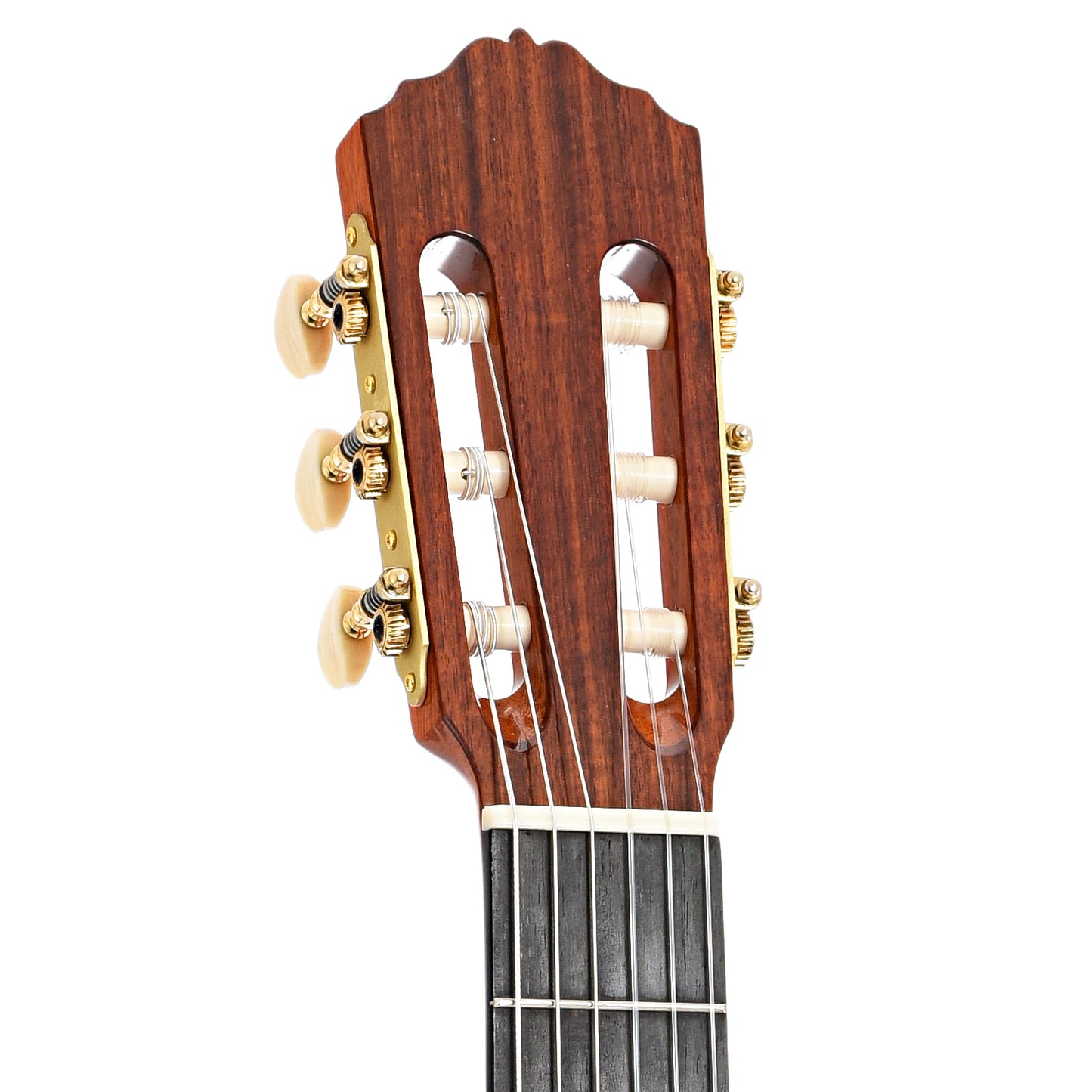 Front headstock of Cordoba Luthier Select Esteso Classical Guitar (2022)
