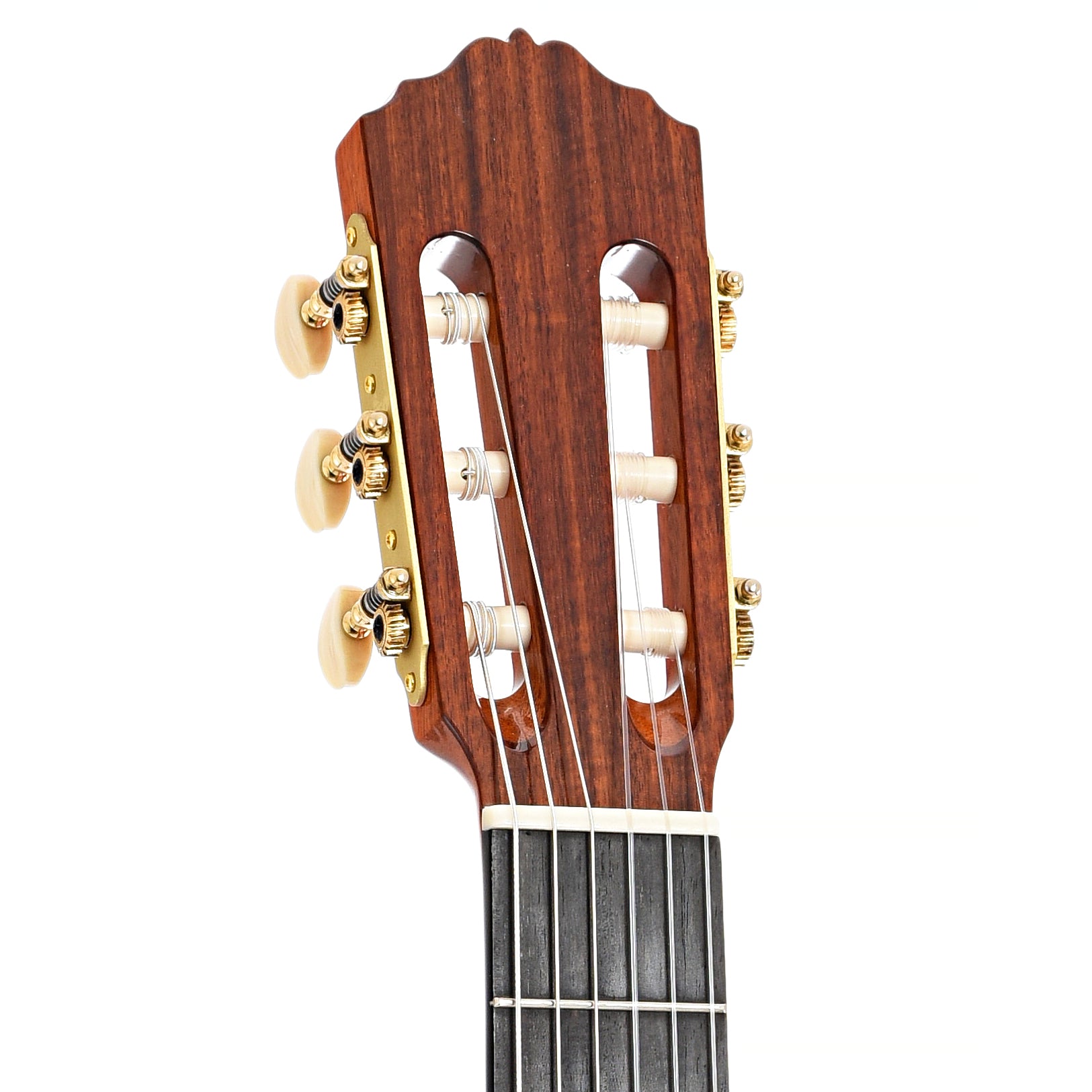 Front headstock of Cordoba Luthier Select Esteso Classical Guitar (2022)