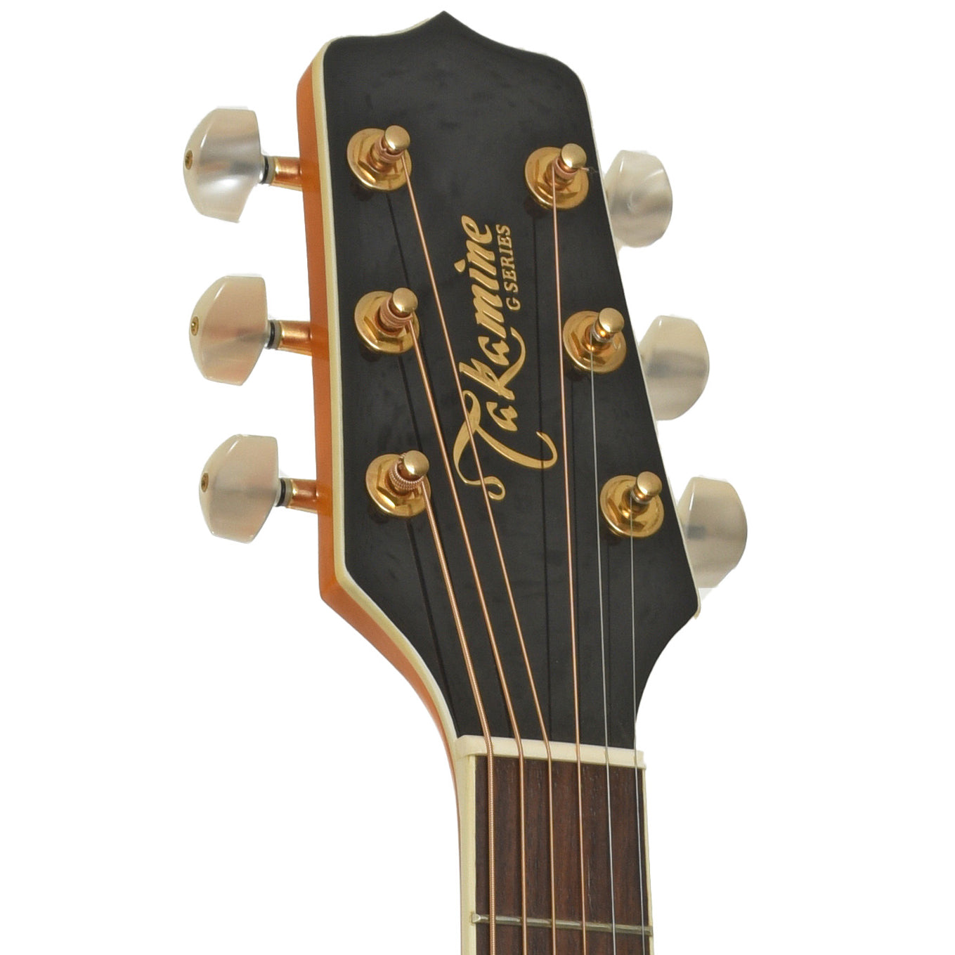 Hadstock of Takamine EG523CDX Acoustic-Electric  Guitar
